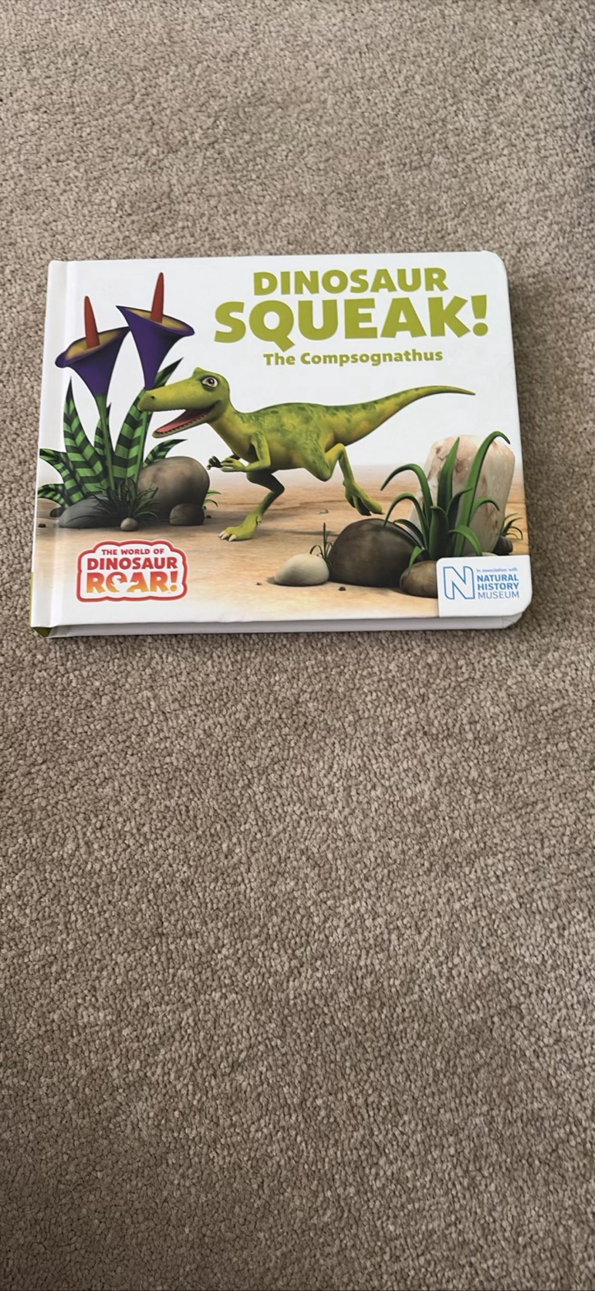 Dinosaur Squeak The Compsognathus Children's Book