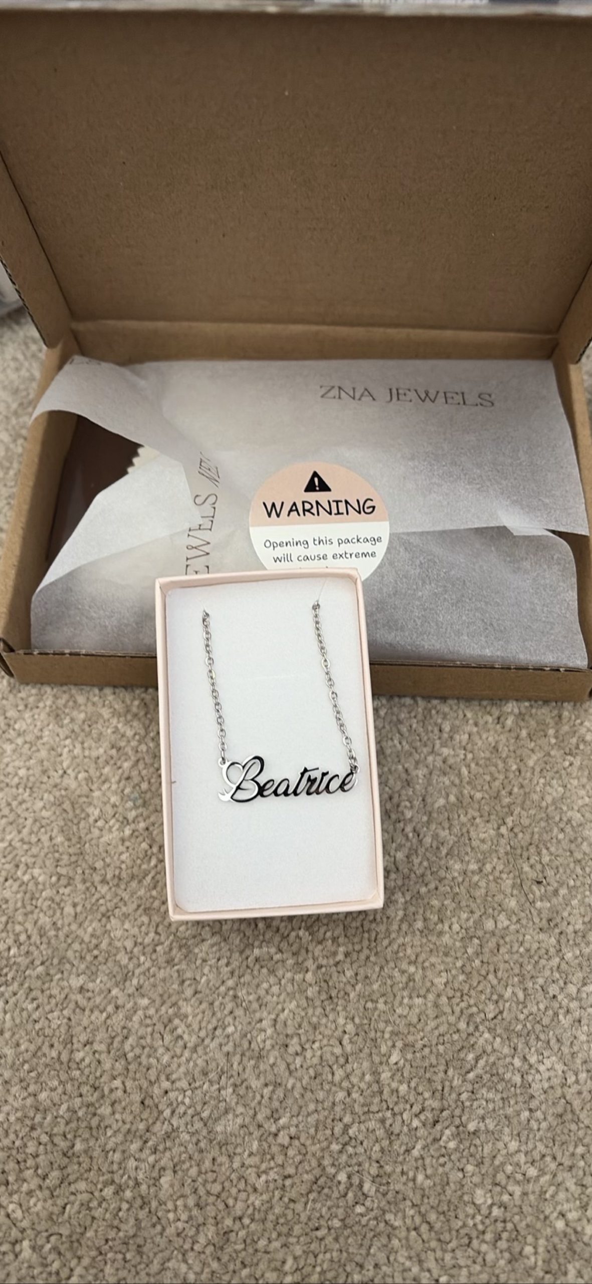 ZNA Jewels Silver Beatrice Name Necklace