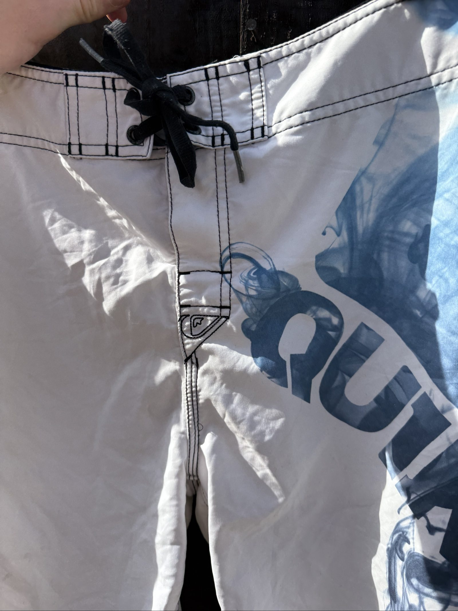 Quiksilver Big Logo Board Shorts image 6