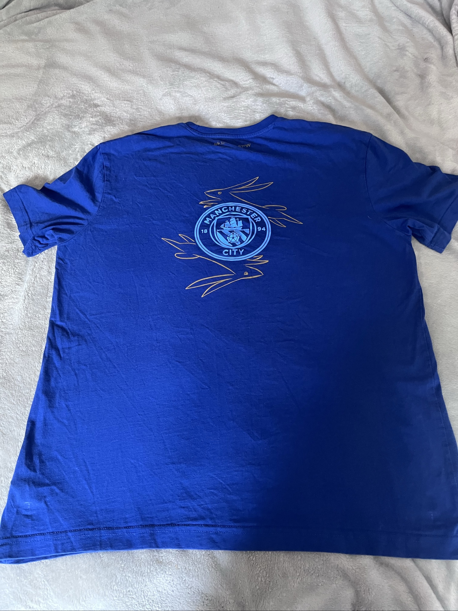Puma Blue Manchester City Football T-Shirt Medium Men image 3