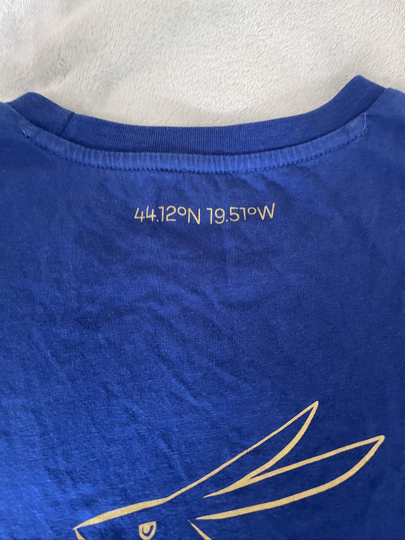 Puma Blue Manchester City Football T-Shirt Medium Men image 4