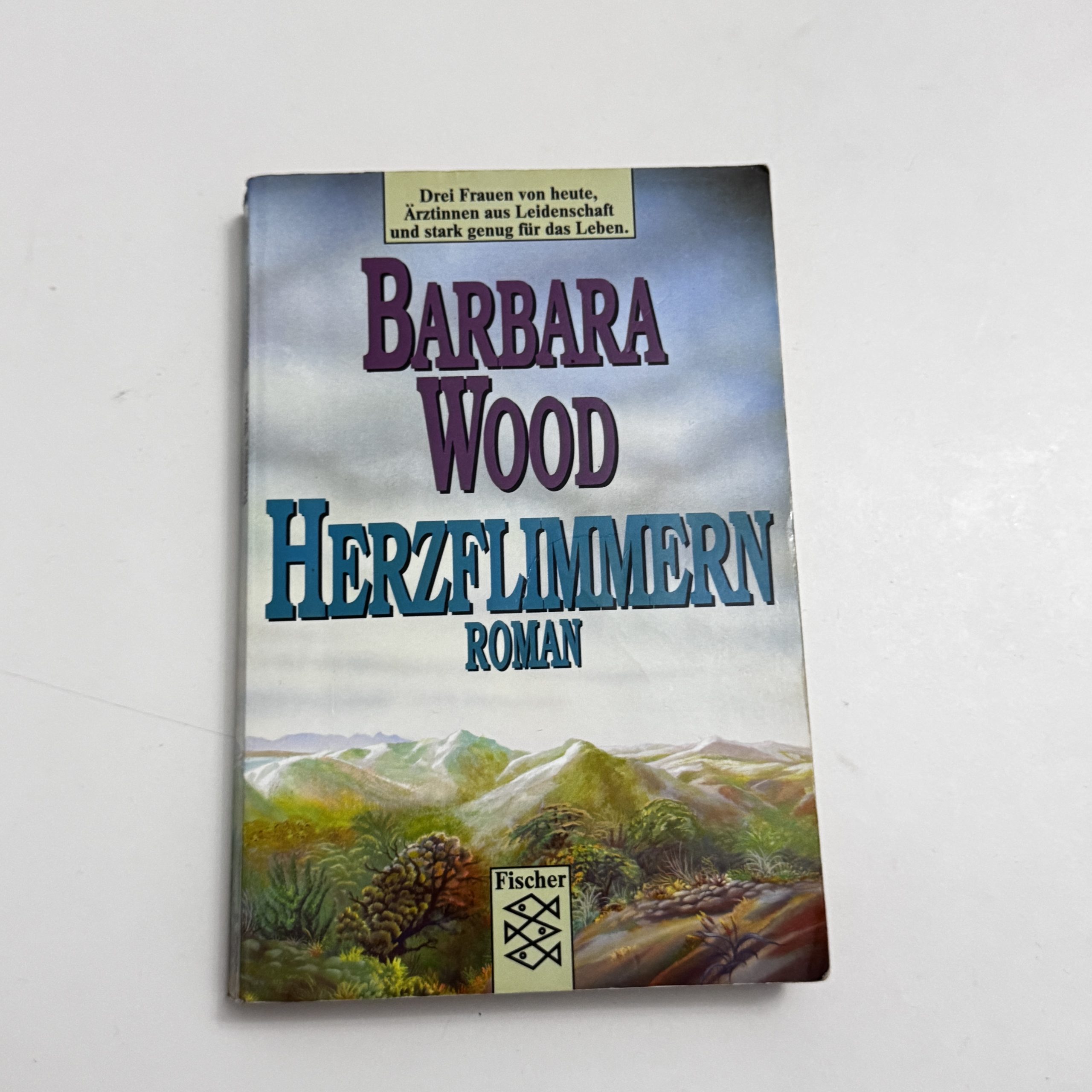 Barbara Wood Herzflimmern German Paperback Novel Media 66
