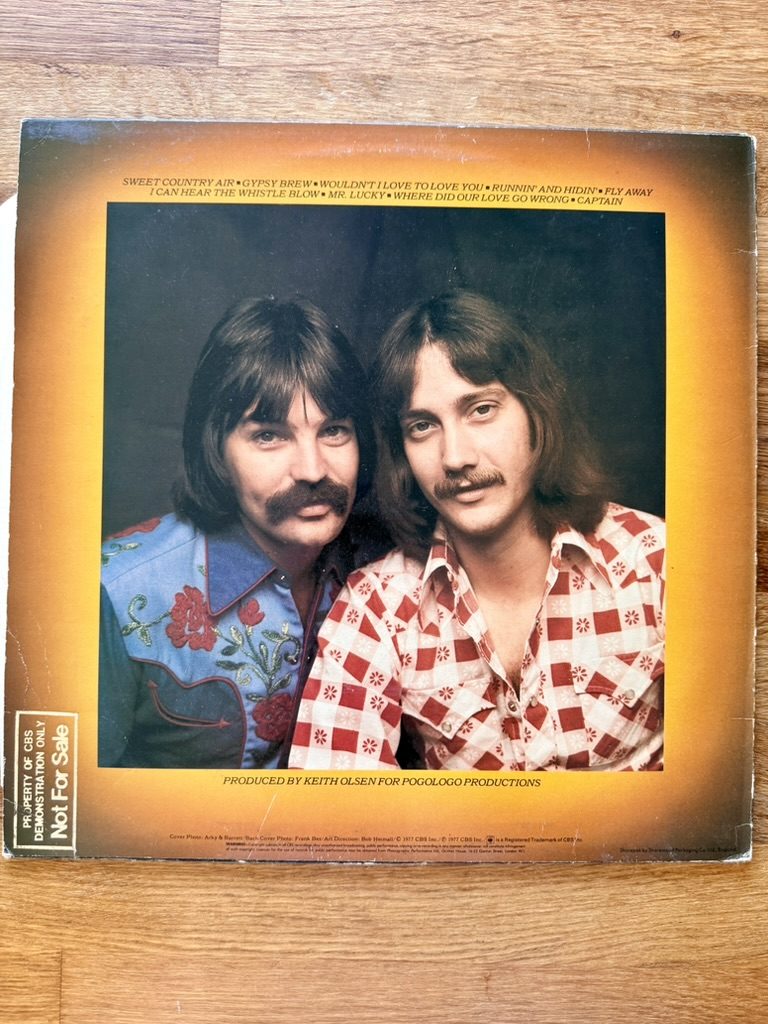 Fools Gold Mr Lucky Vinyl Record Album image 2
