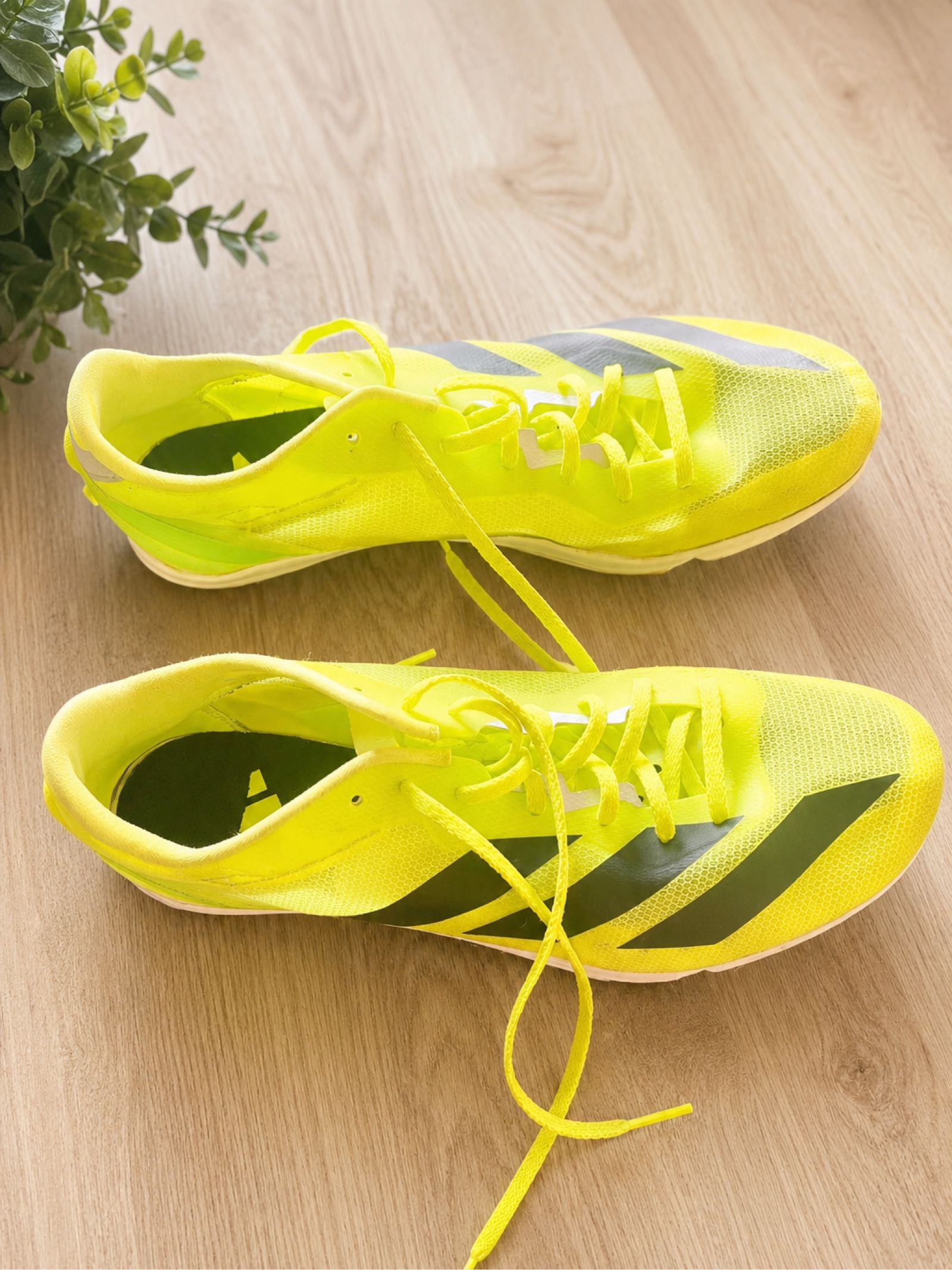 Adidas Yellow & Black Sprint Spikes UK 10