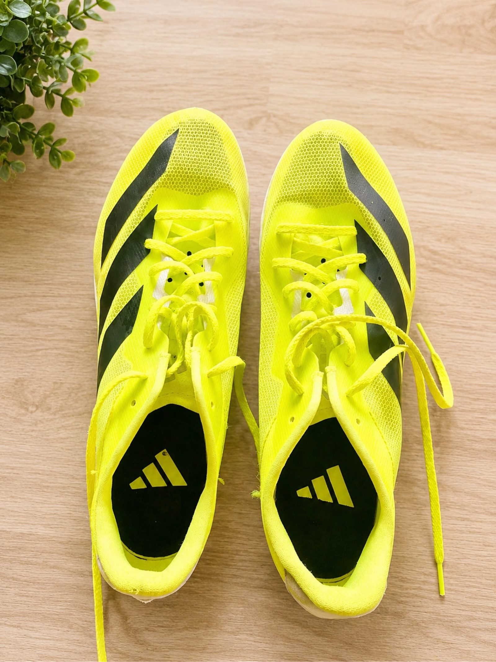 Adidas Yellow & Black Sprint Spikes UK 10 image 2