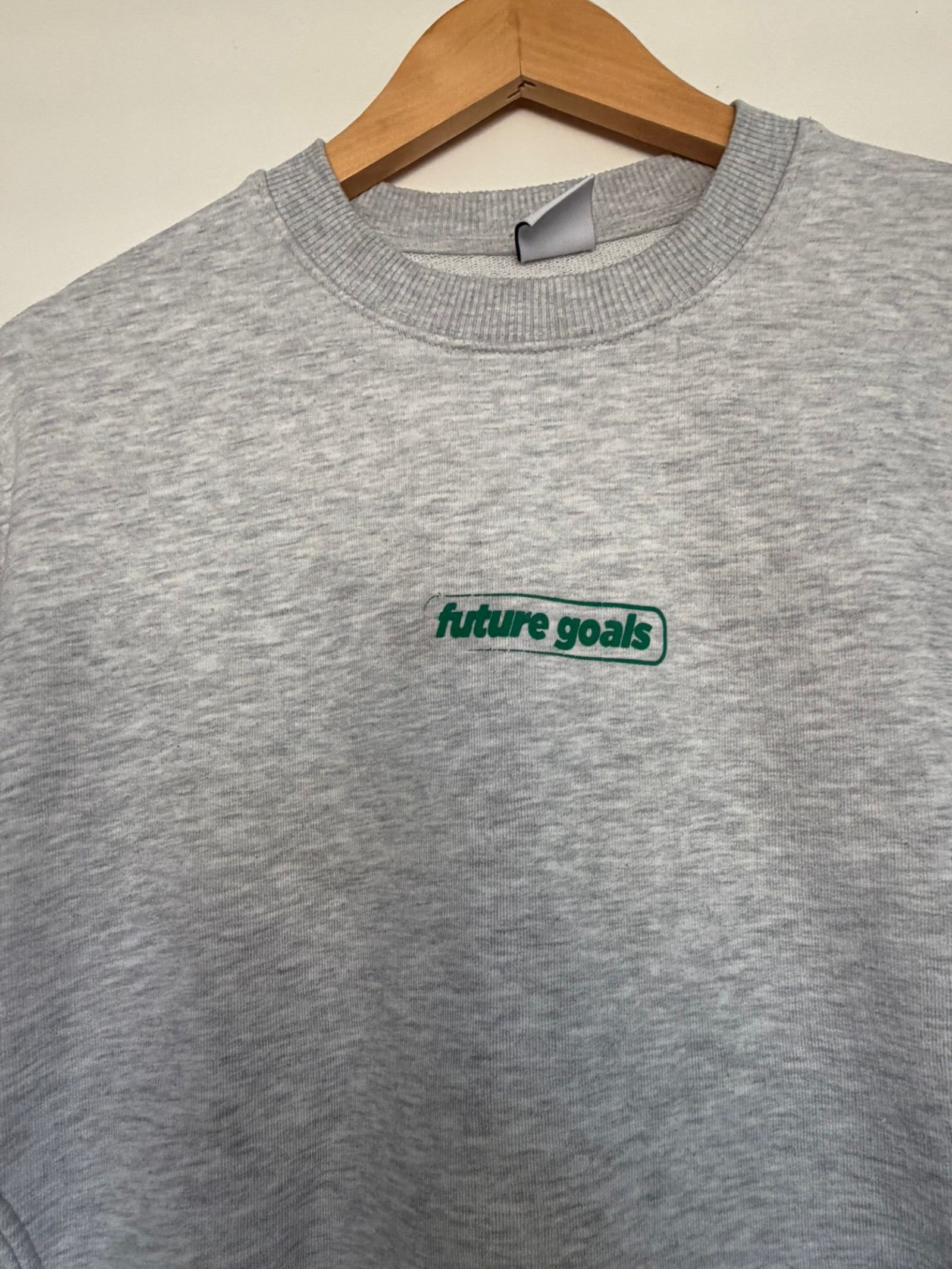 Zara-Grey Sweatshirt Size Large with "Future Goals"