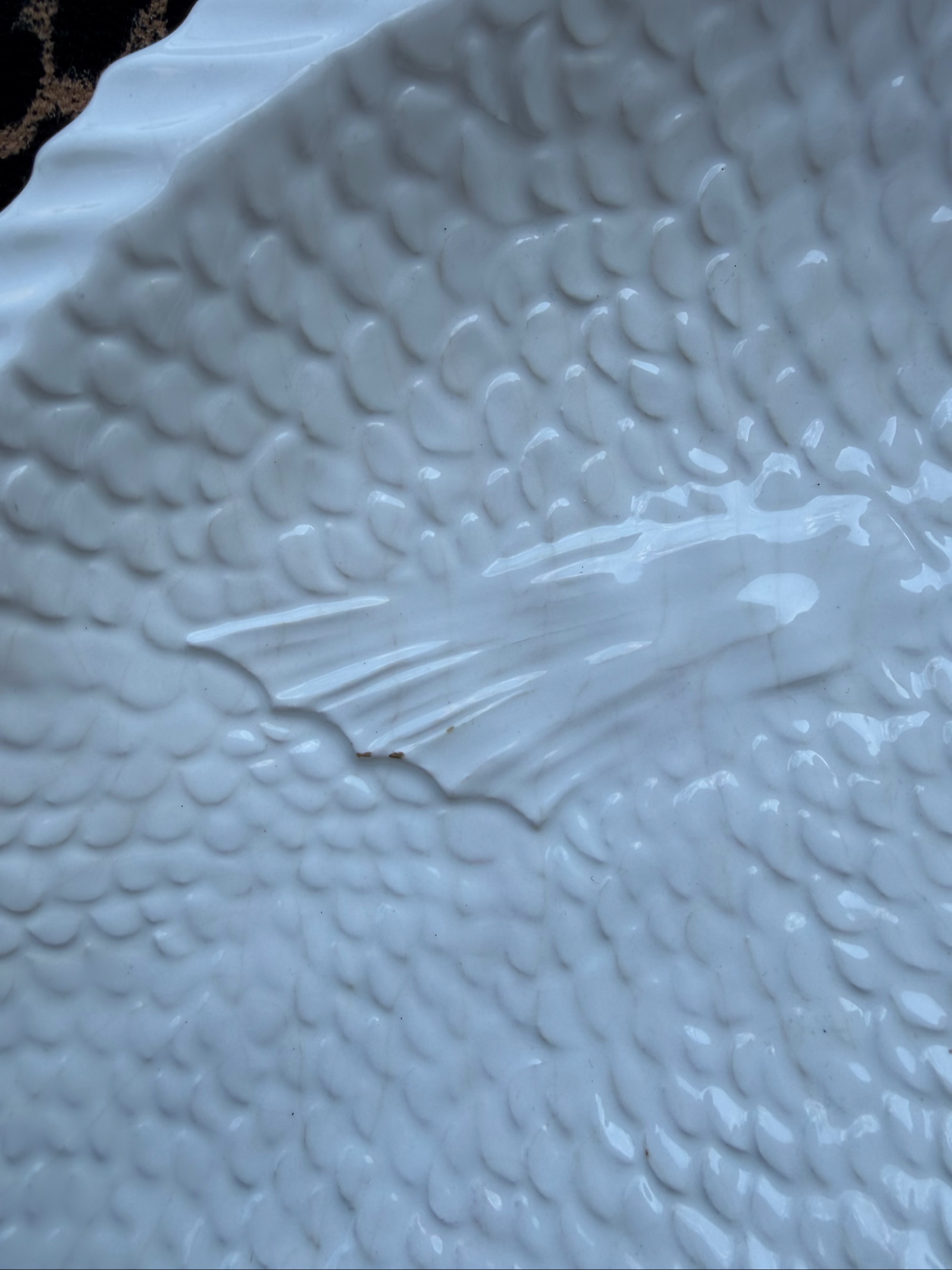 White Ceramic Fish Serving Plate with Textured Scales and Tail image 2