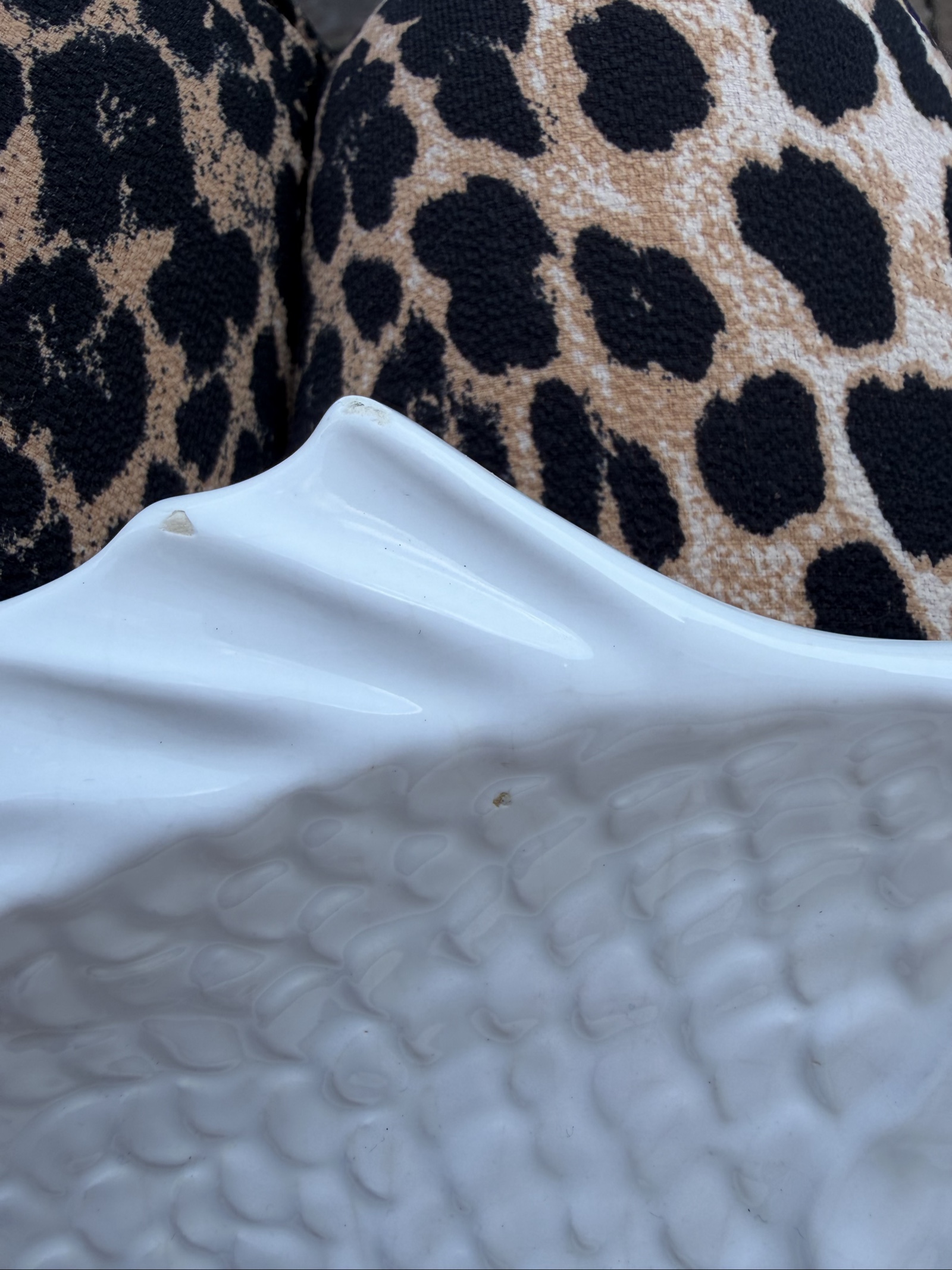 White Ceramic Fish Serving Plate with Textured Scales and Tail image 3