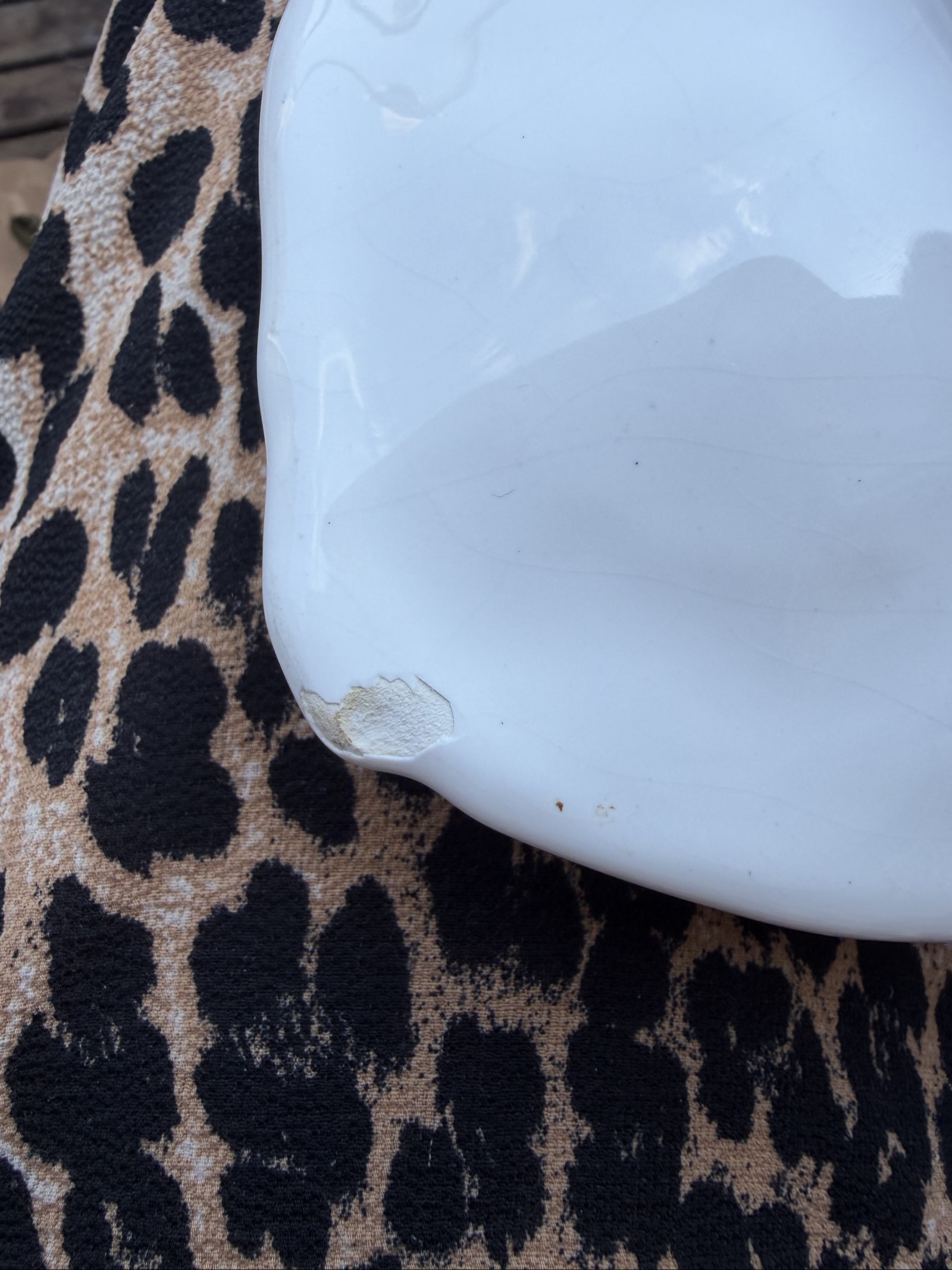 White Ceramic Fish Serving Plate with Textured Scales and Tail image 7