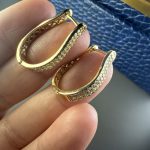 Gold Tone Crystal Hoop Clip On Earrings