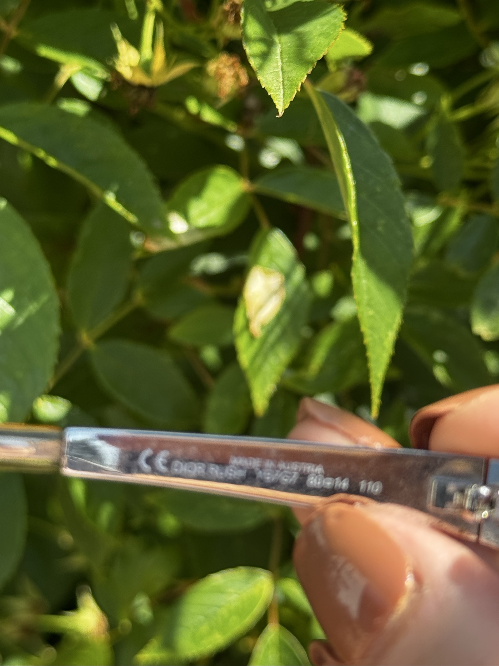 Dior Silver Rush YB7G7 Sunglasses 80 14 110 image 6