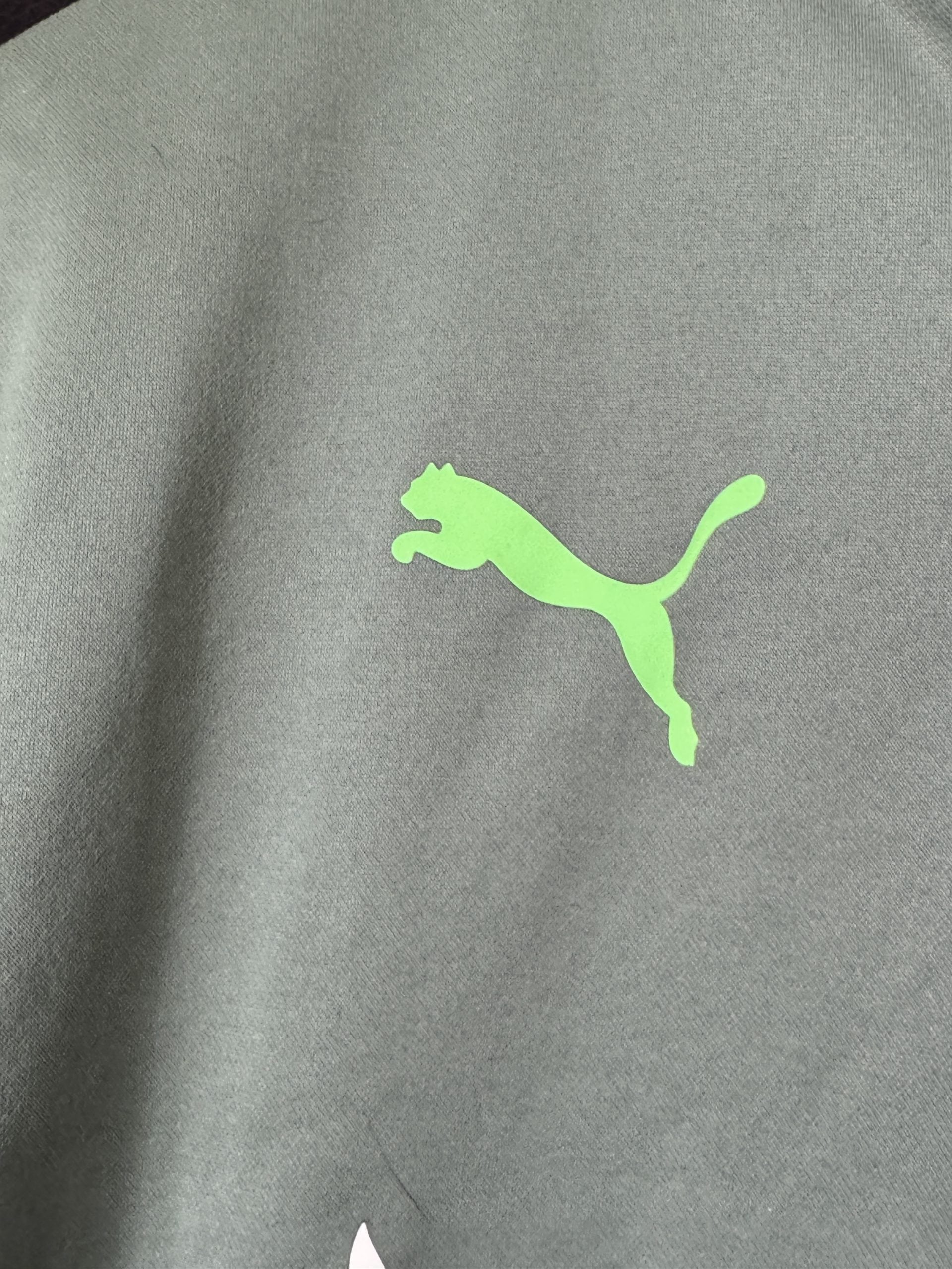 Puma Green Borussia Mönchengladbach Training Top Small 2946 image 5