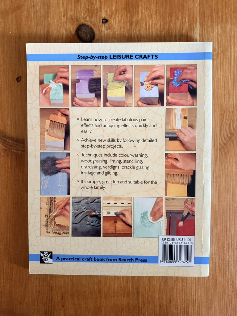 Paint Effects by Lindsey Durrant Step-by-step Leisure Crafts Book image 2