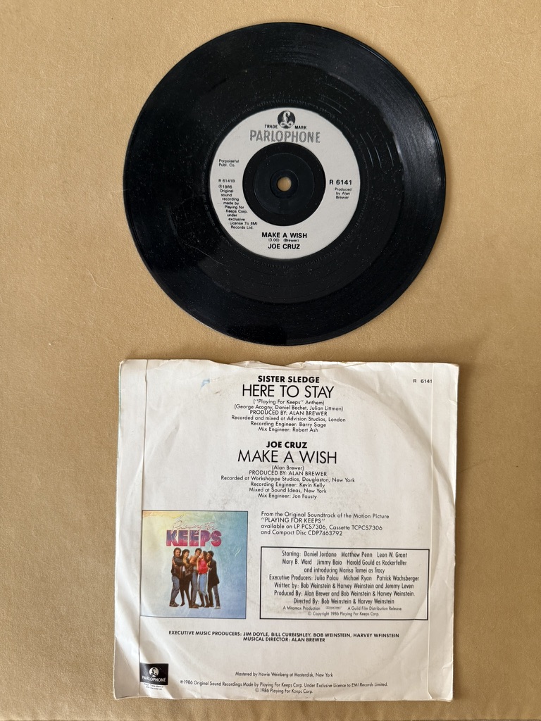 Sister Sledge Vinyl 7 Inch Here To Stay / Make A Wish Single Record image 2