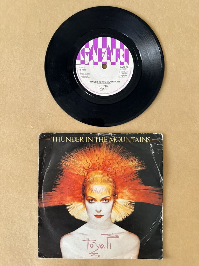 Toyah Thunder In The Mountains Vinyl Single 7 Inch record