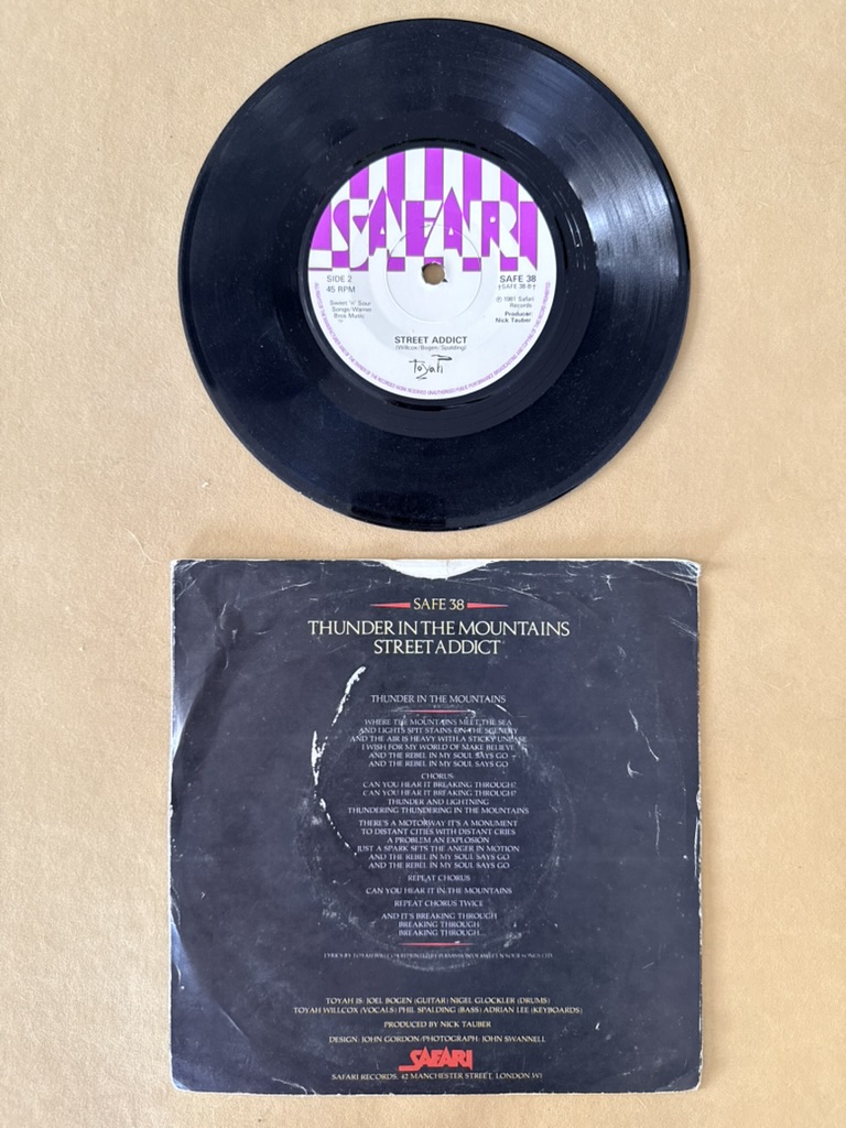 Toyah Thunder In The Mountains Vinyl Single 7 Inch record image 2