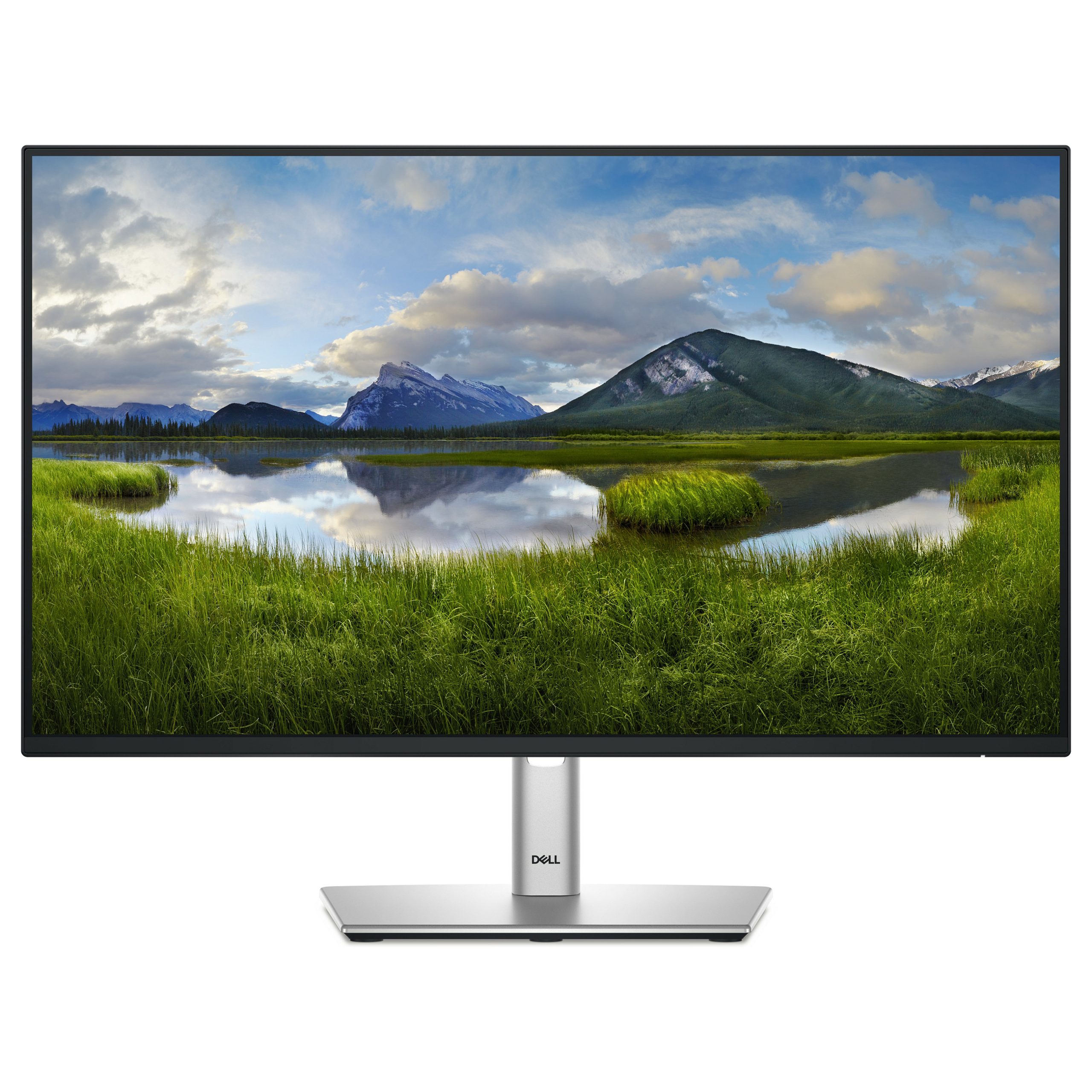 DELL Pro Plus P2425H computer monitor