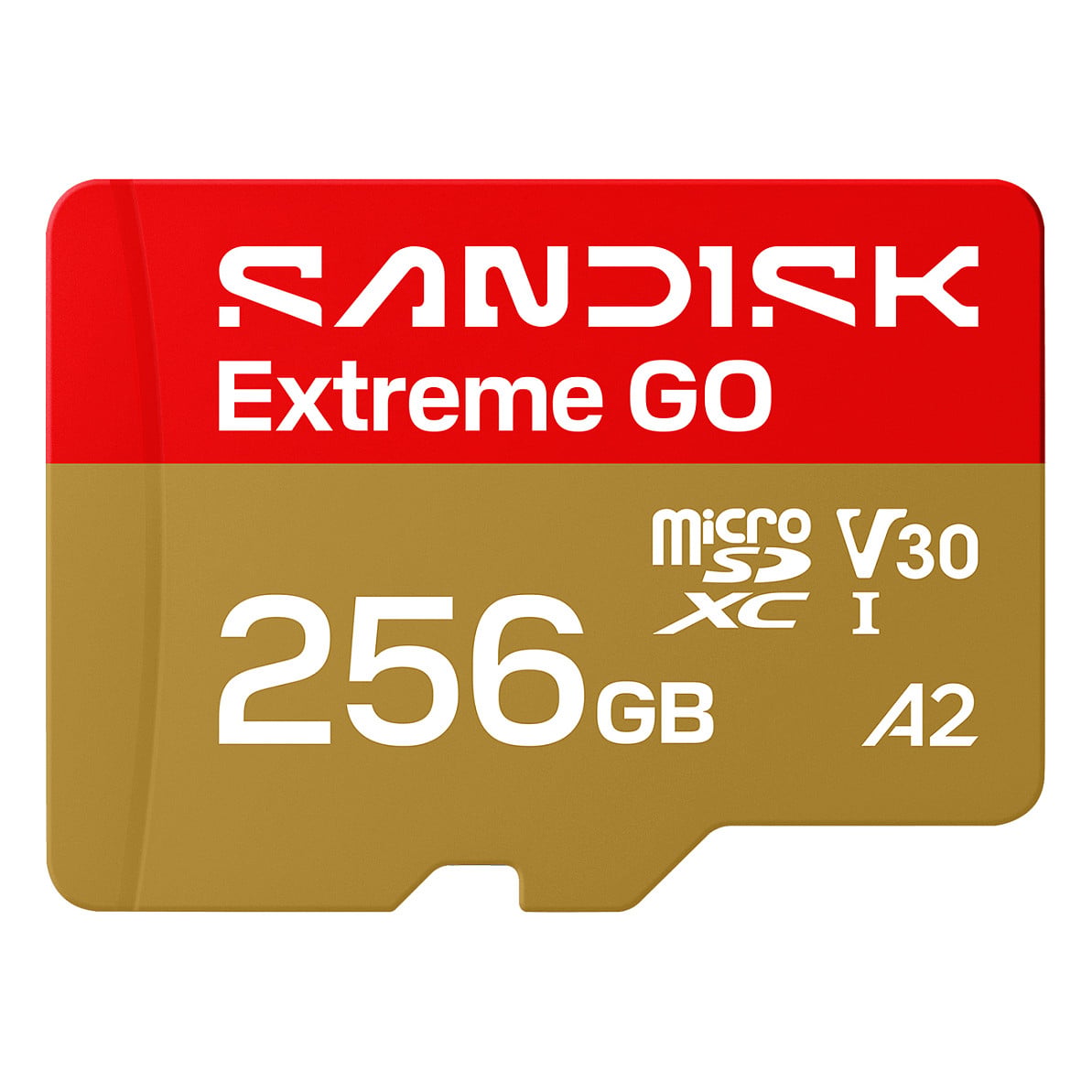SanDisk Extreme GO
