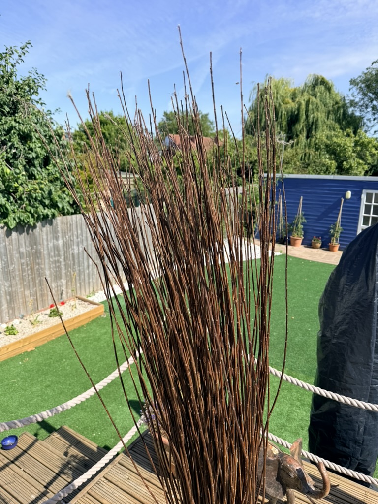 Natural Brown Decorative Willow Twigs Bundle image 3