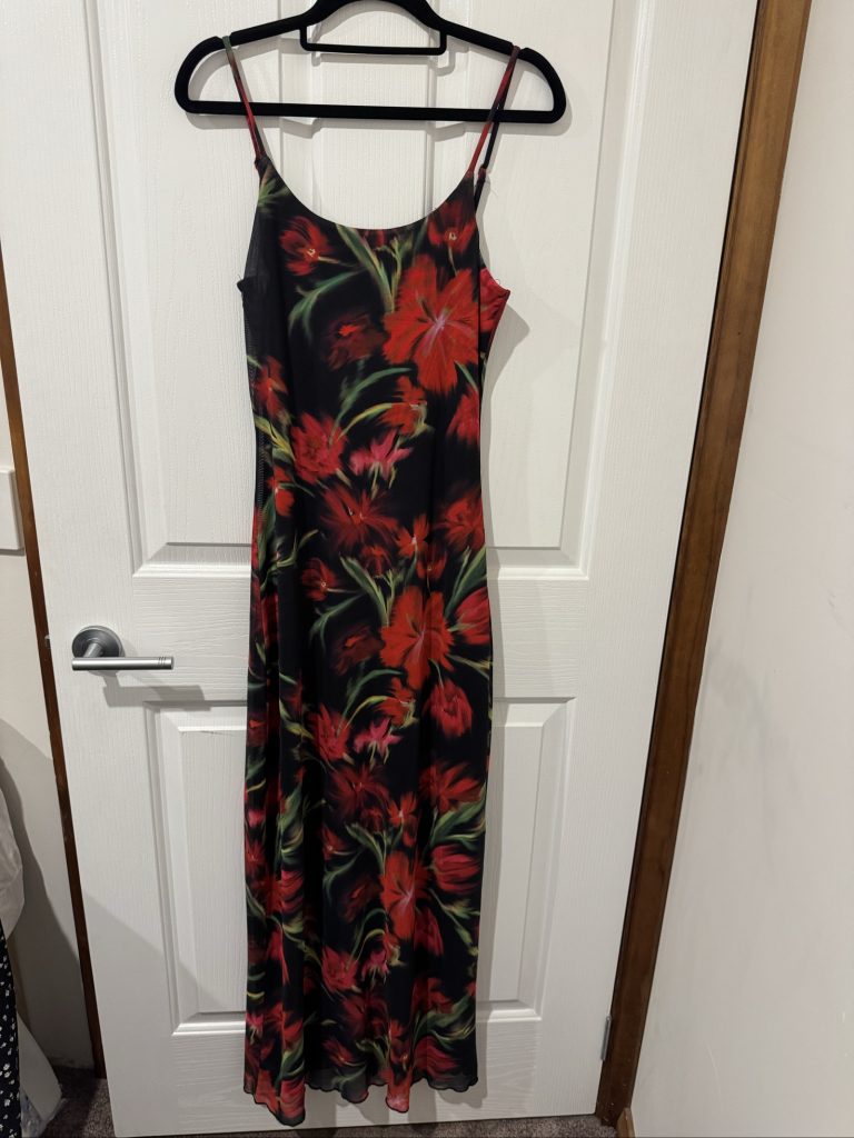 Perfect Stranger Black & Red Floral Slip Dress Size 12