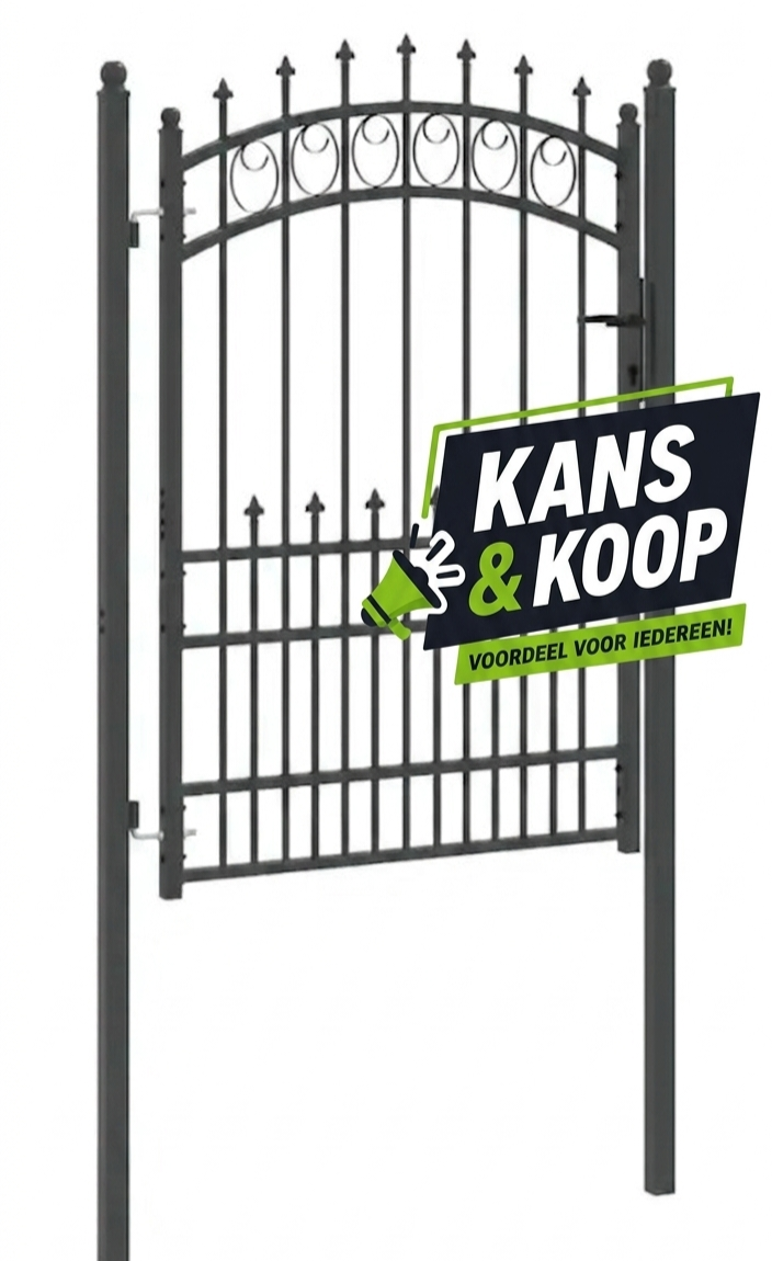 Stalen Tuinpoort / Hekpoort vidaXL - Met Boog & Punten (103 x 200 cm) - Zwart