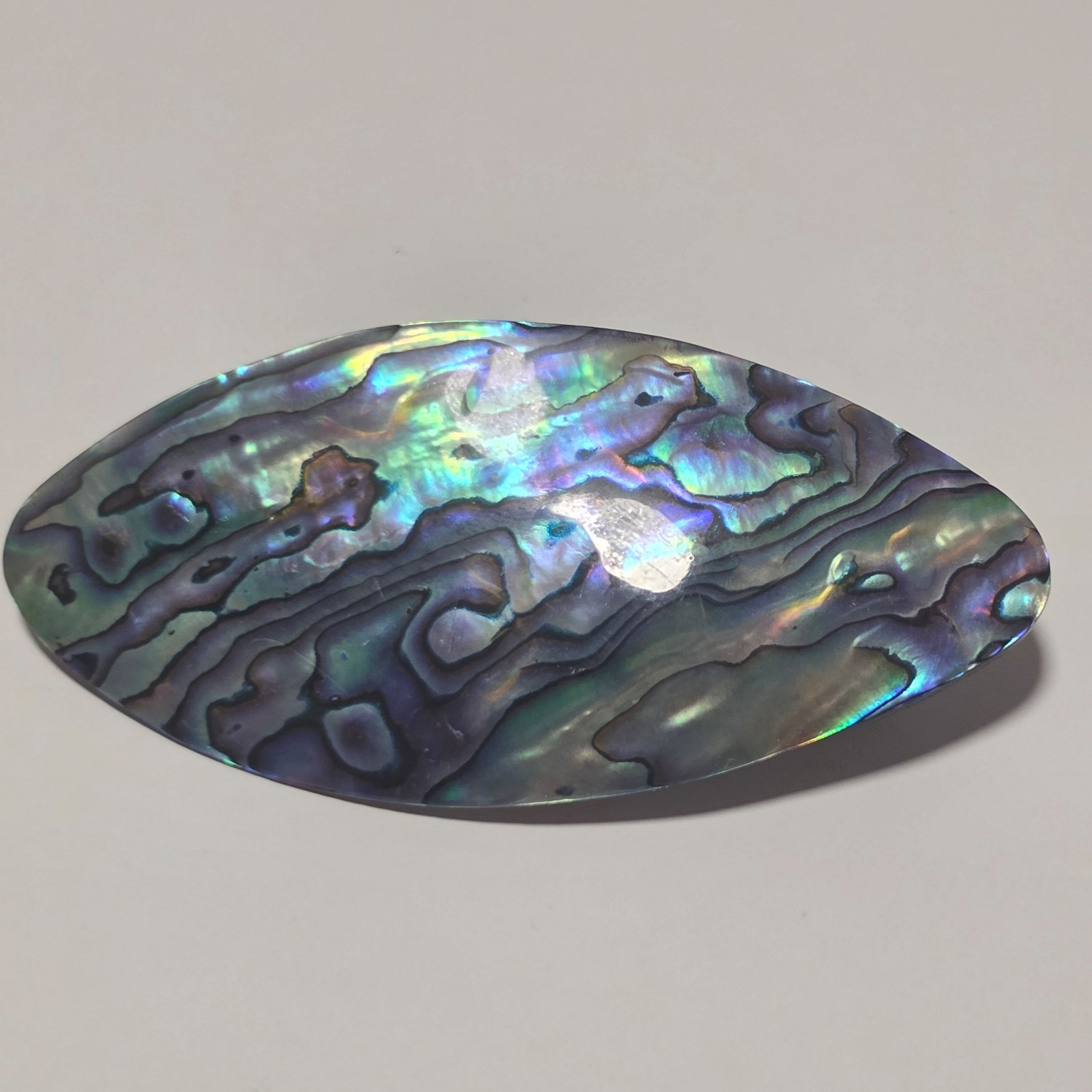 Paua Shell Hair clip.