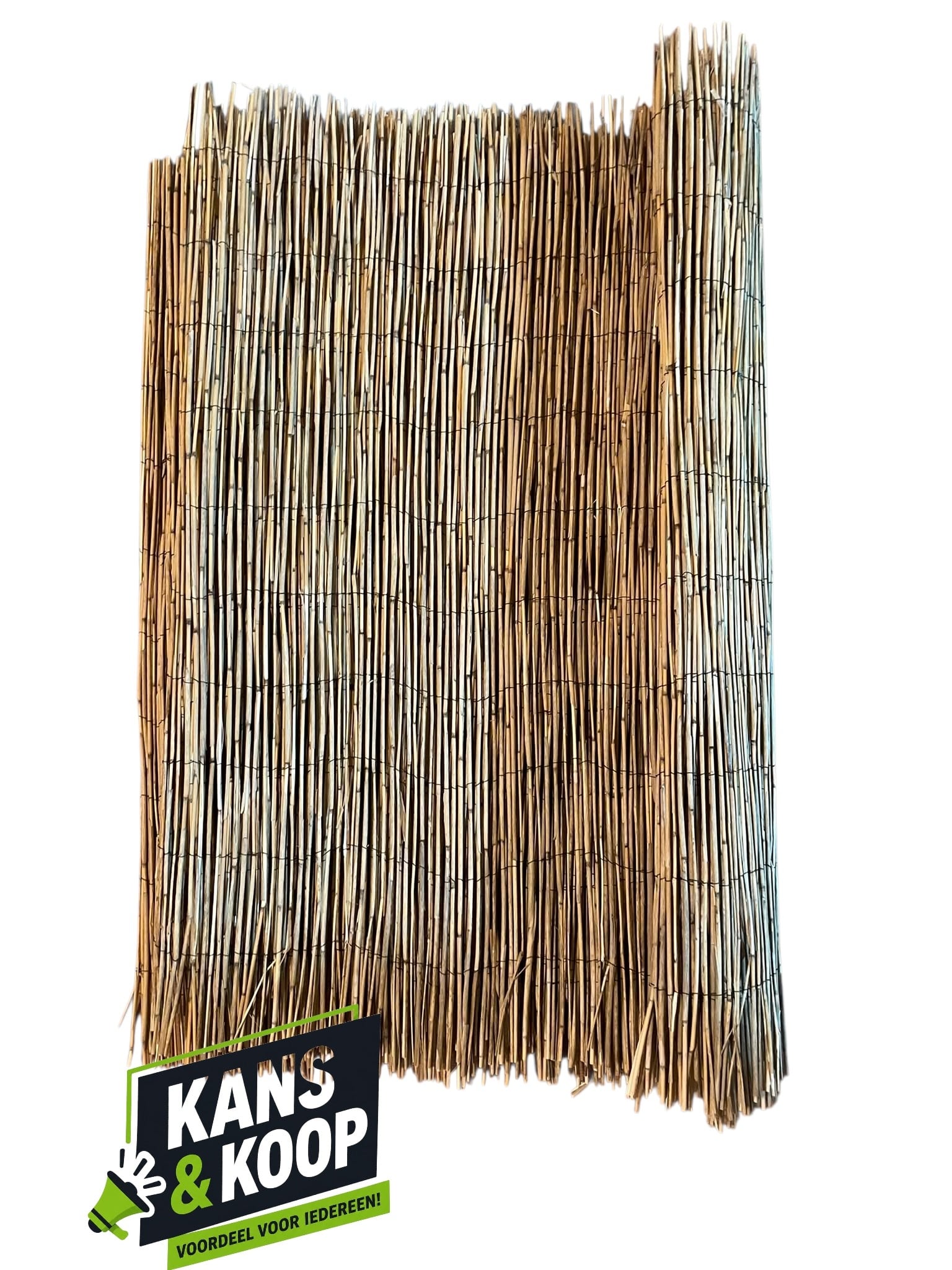 vidaXL Rietmat Tuinscherm 100 x 600 cm