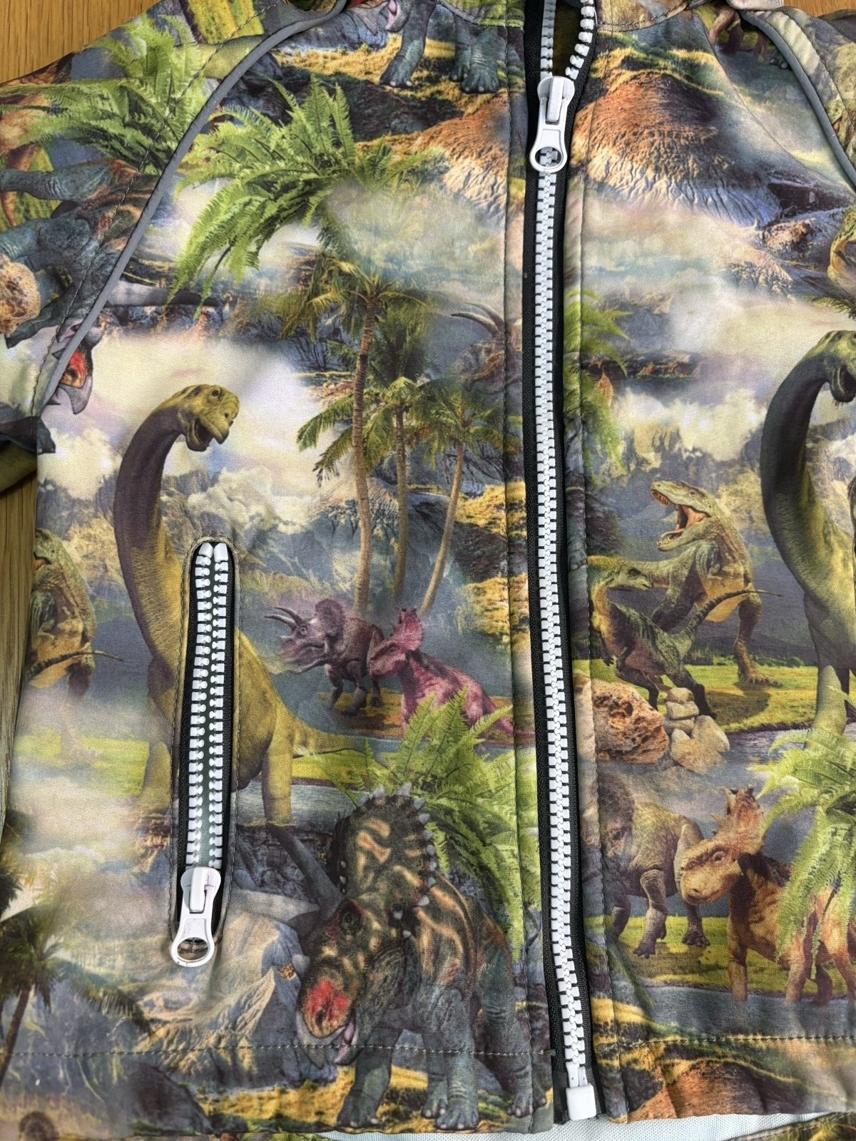 Multi Dinosaur Print Hooded Jacket Size 2-3 image 2