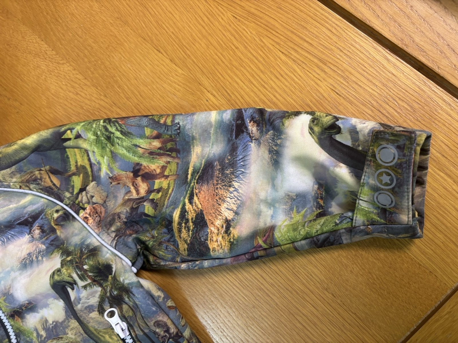 Multi Dinosaur Print Hooded Jacket Size 2-3 image 3