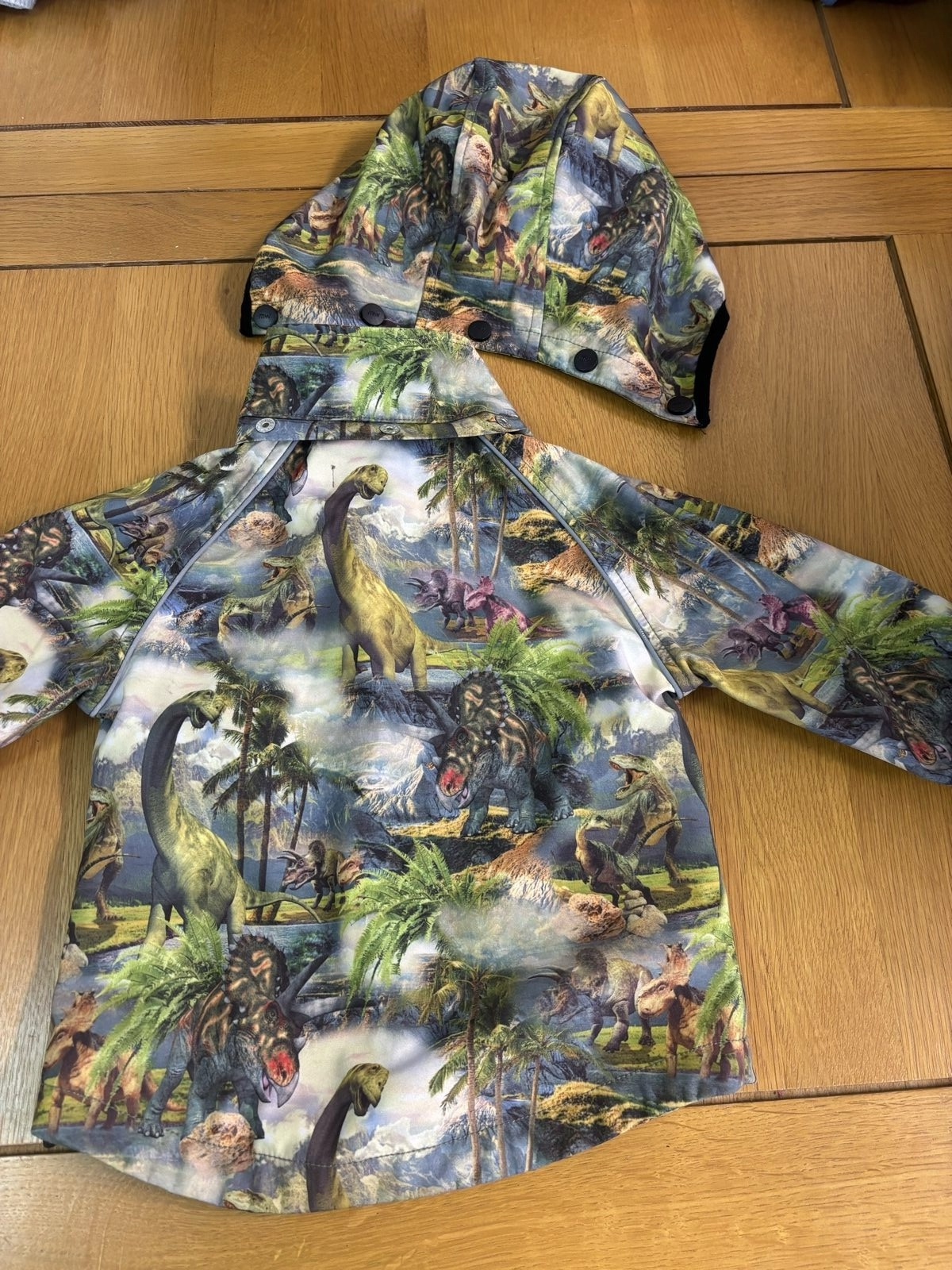 Multi Dinosaur Print Hooded Jacket Size 2-3 image 5