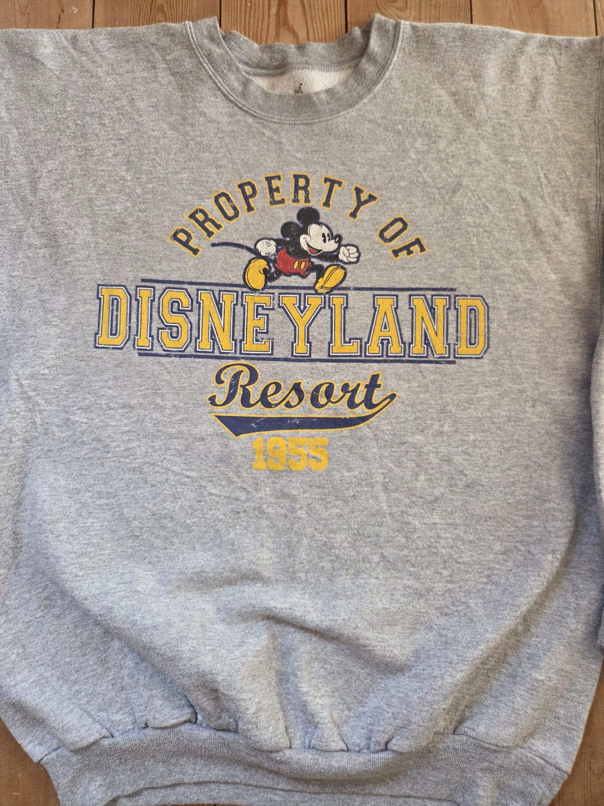 Disneyland Resort 1955 Mickey Mouse Grey Sweatshirt Size M Hanes image 8