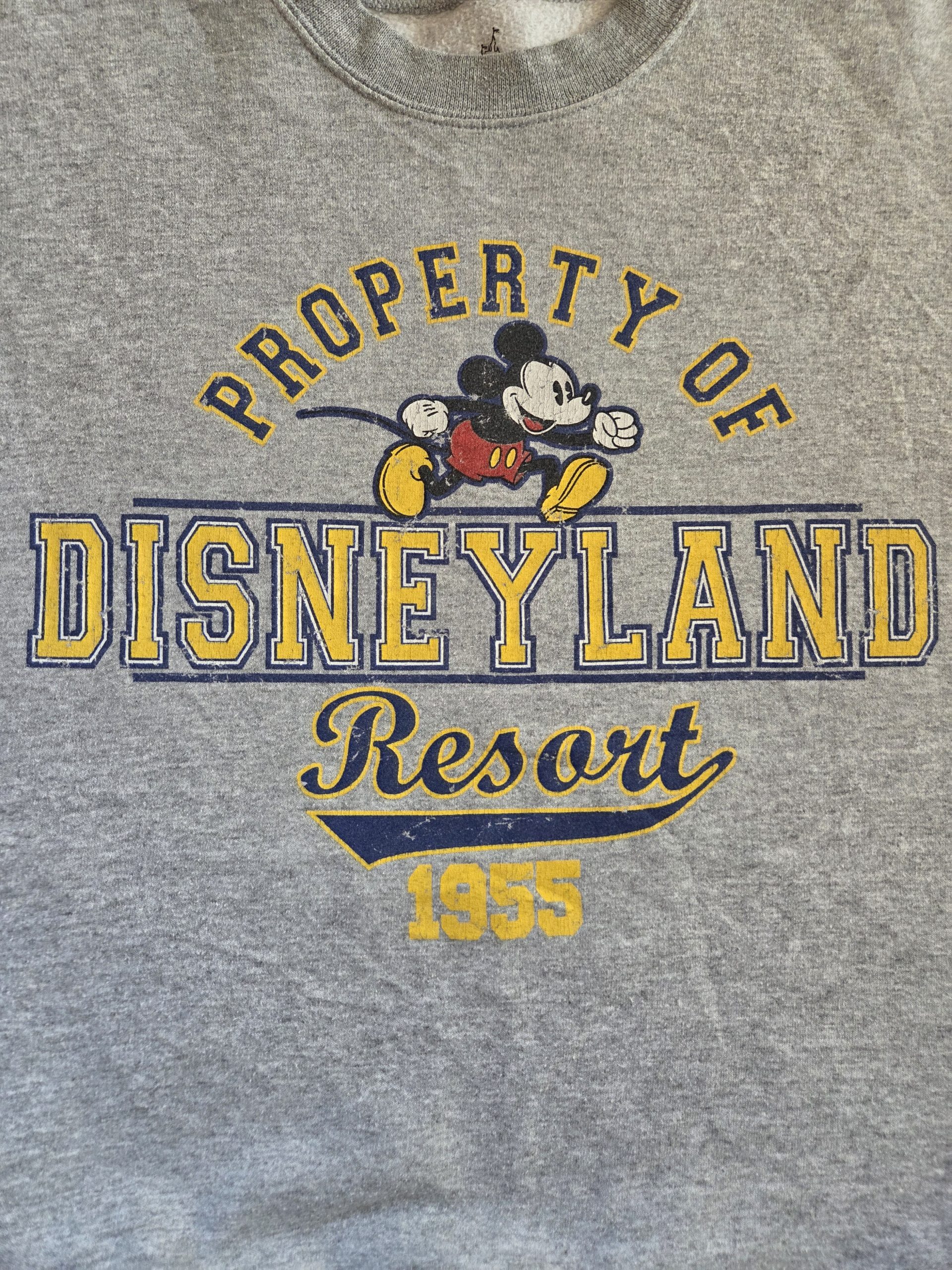 Disneyland Resort 1955 Mickey Mouse Grey Sweatshirt Size M Hanes image 9