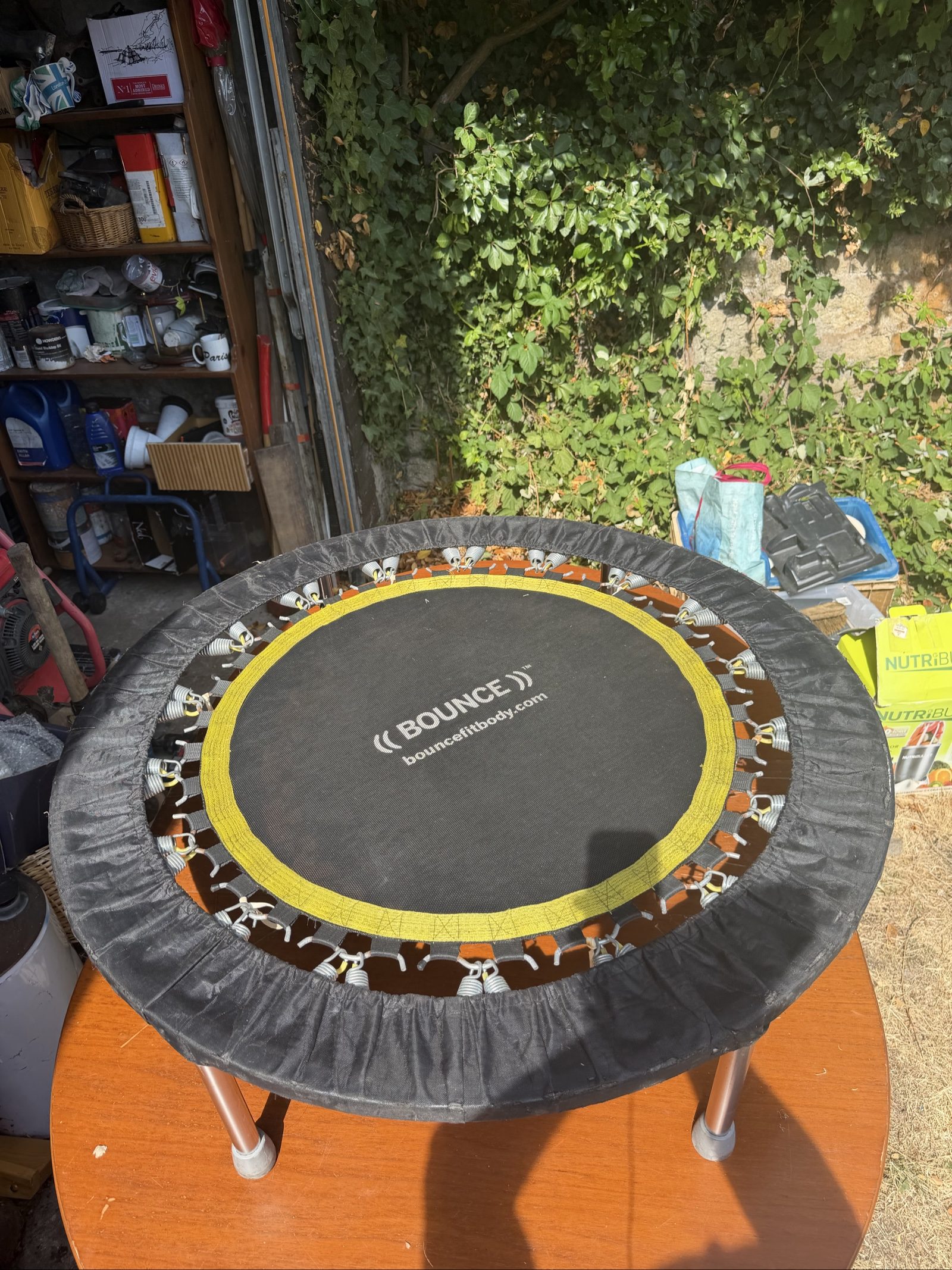 Bounce Mini Trampoline Fitness Rebounder