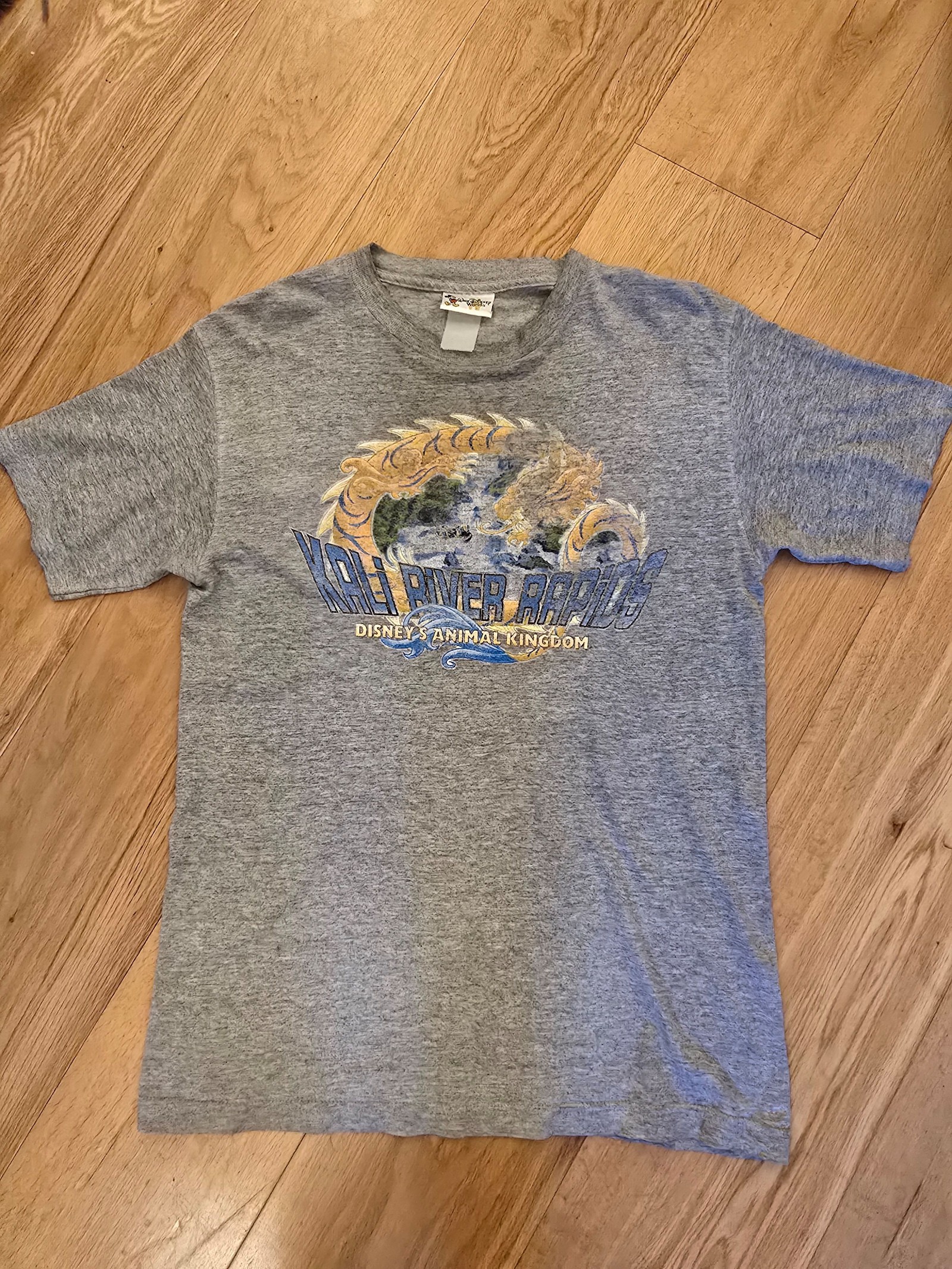 Vintage Disney Grey Kali River Rapids T-Shirt Medium