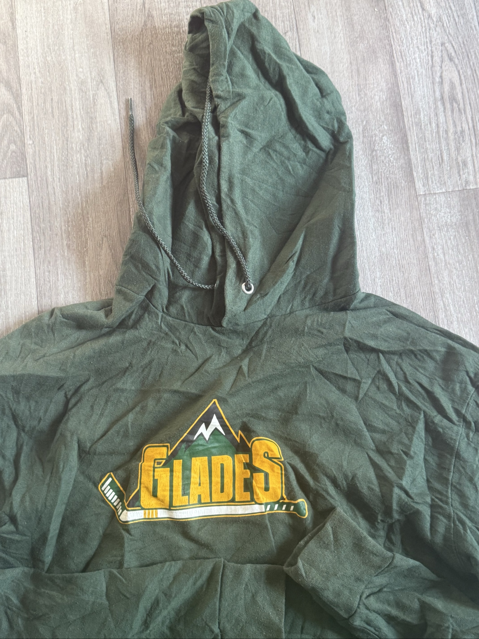 Champion Men's Green Glades Hooded Sweatshirt Large image 4