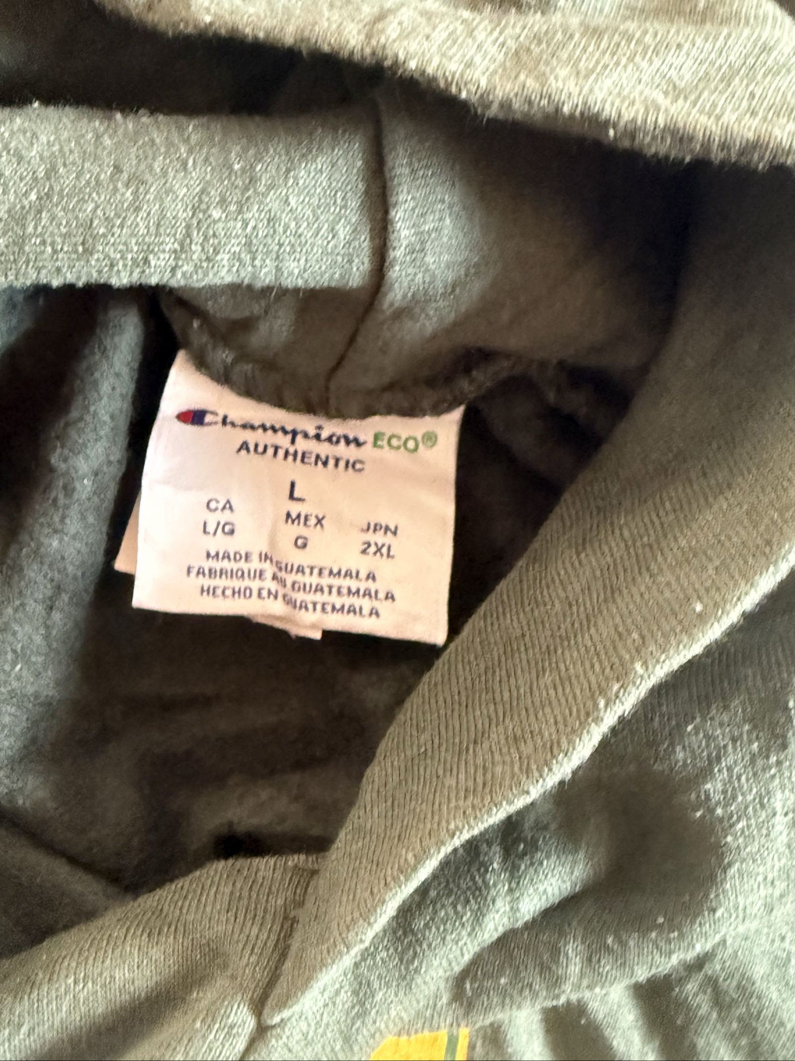 Champion Men's Green Glades Hooded Sweatshirt Large image 5