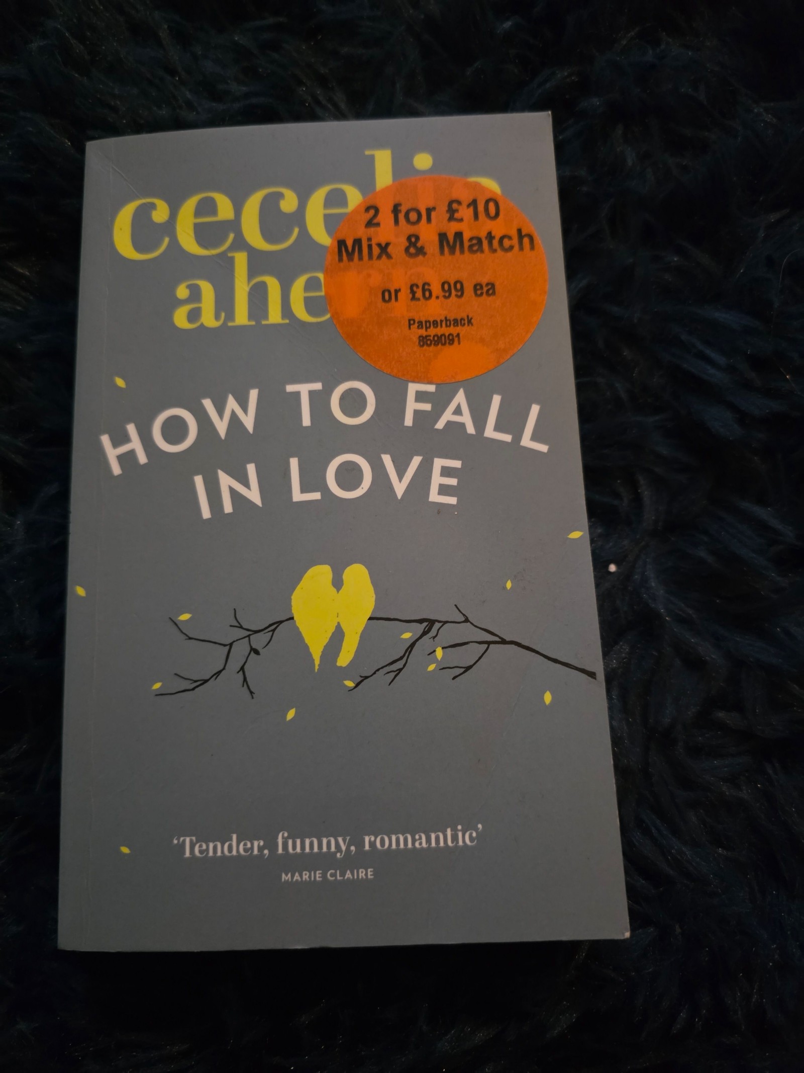 Cecelia Ahern Grey How to Fall in Love Paperback image 4