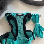 rabbitgoo Aqua Blue Cat Harness and Leash Set XS