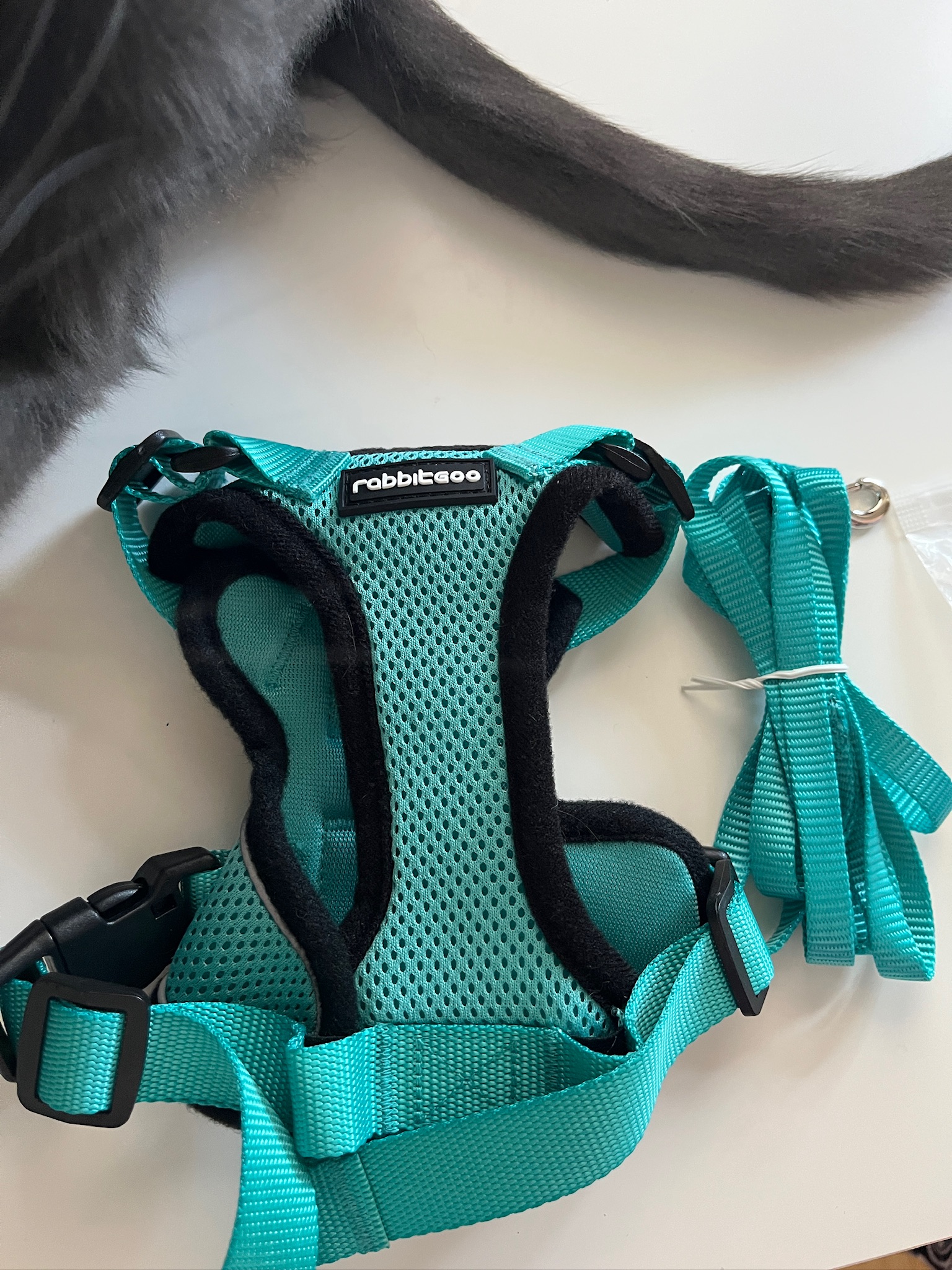 rabbitgoo Aqua Blue Cat Harness and Leash Set XS