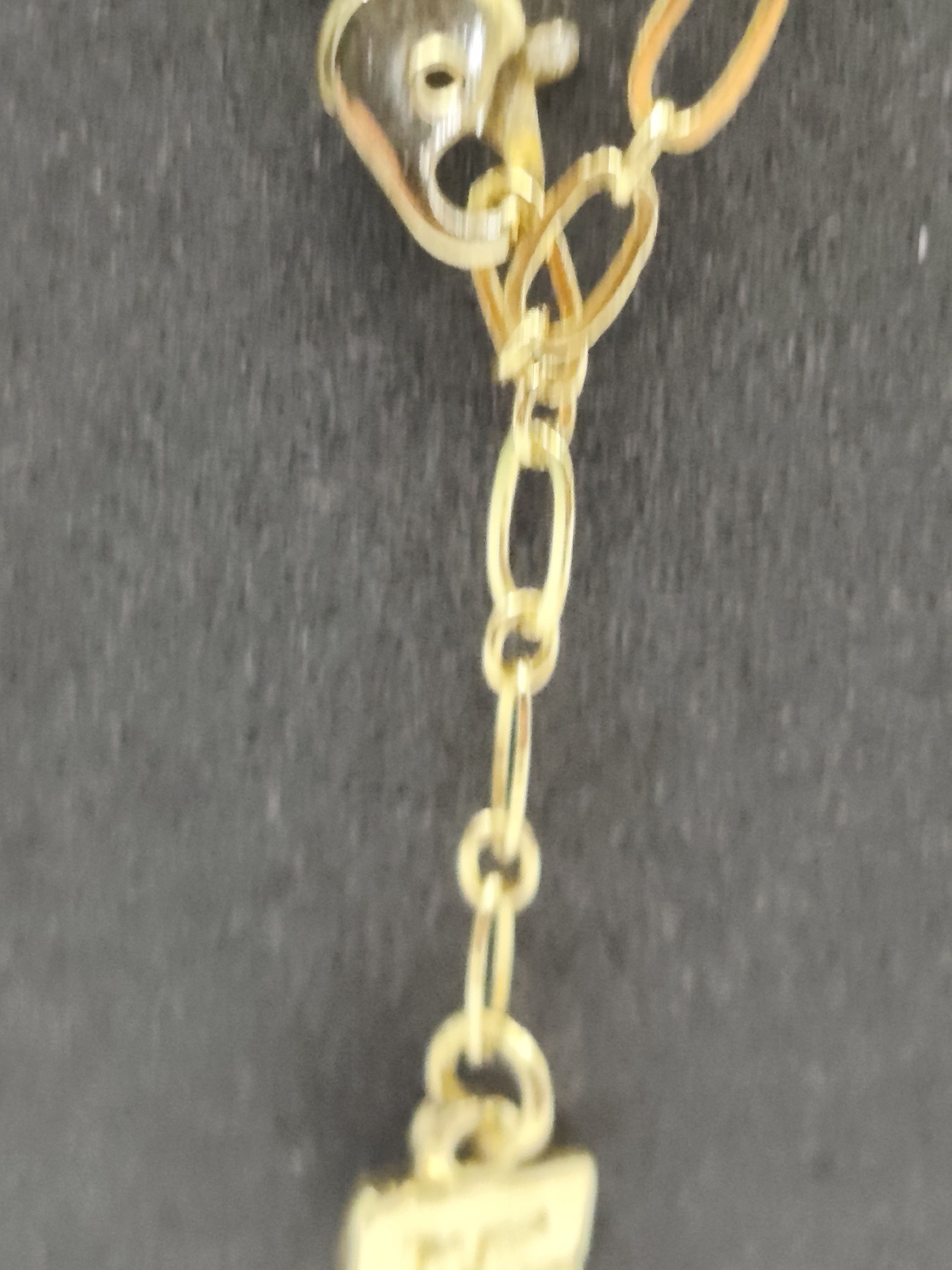 Pierre Balmain Women's Gold-tone Chain Necklace Adjustable Length image 8