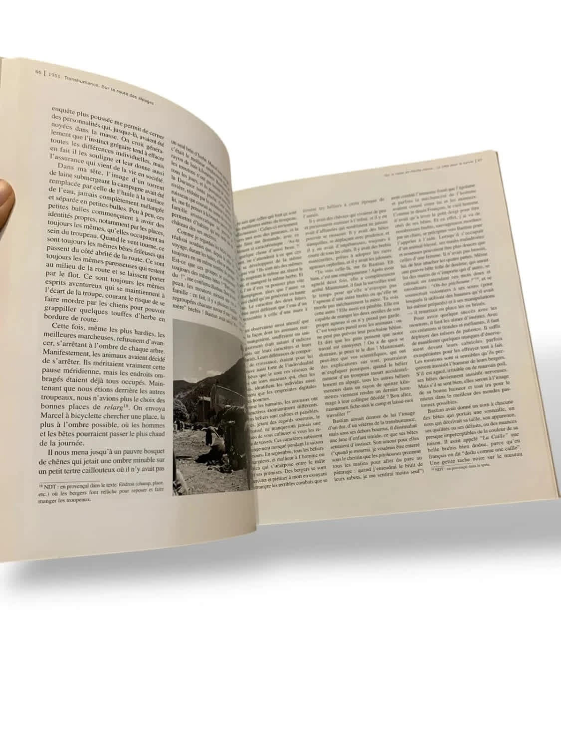 1951 Transhumance sur la route des alpages – Marcel Coen & Maurice Moyal image 10