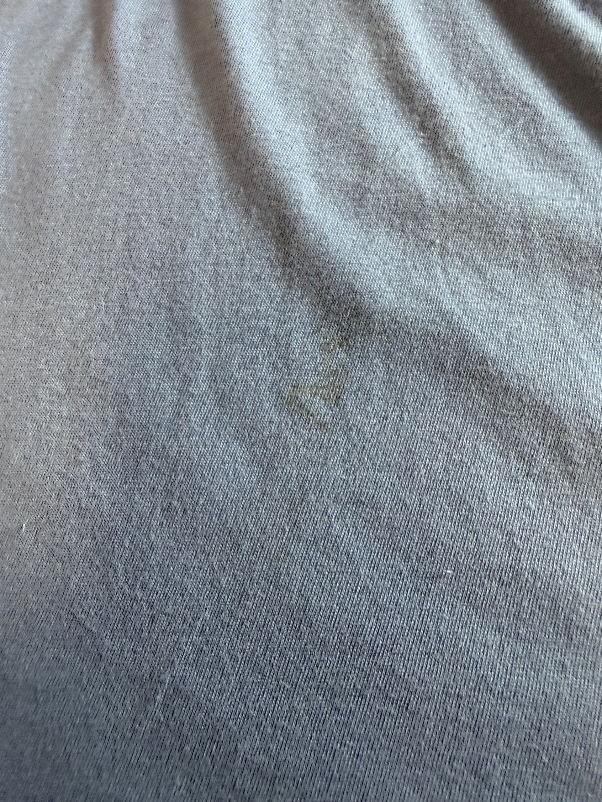 Polo Ralph Lauren Men’s Classic Fit Cotton T-Shirt Small Light Blue Embroidered Logo image 4
