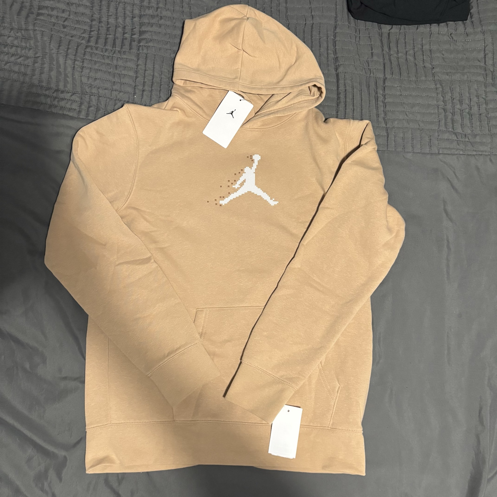 Jordan Beige Pixelated Jumpman Hoodie Large Back Print
