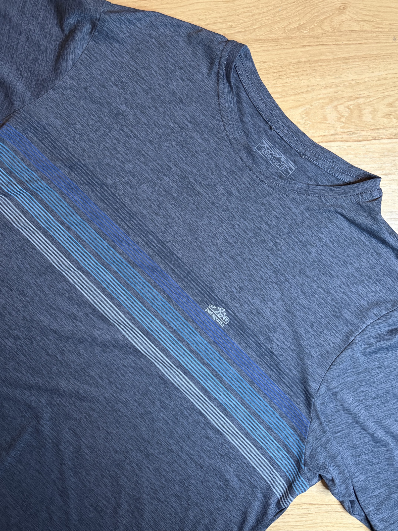 Patagonia Men's Blue Striped Polyester T-Shirt Large