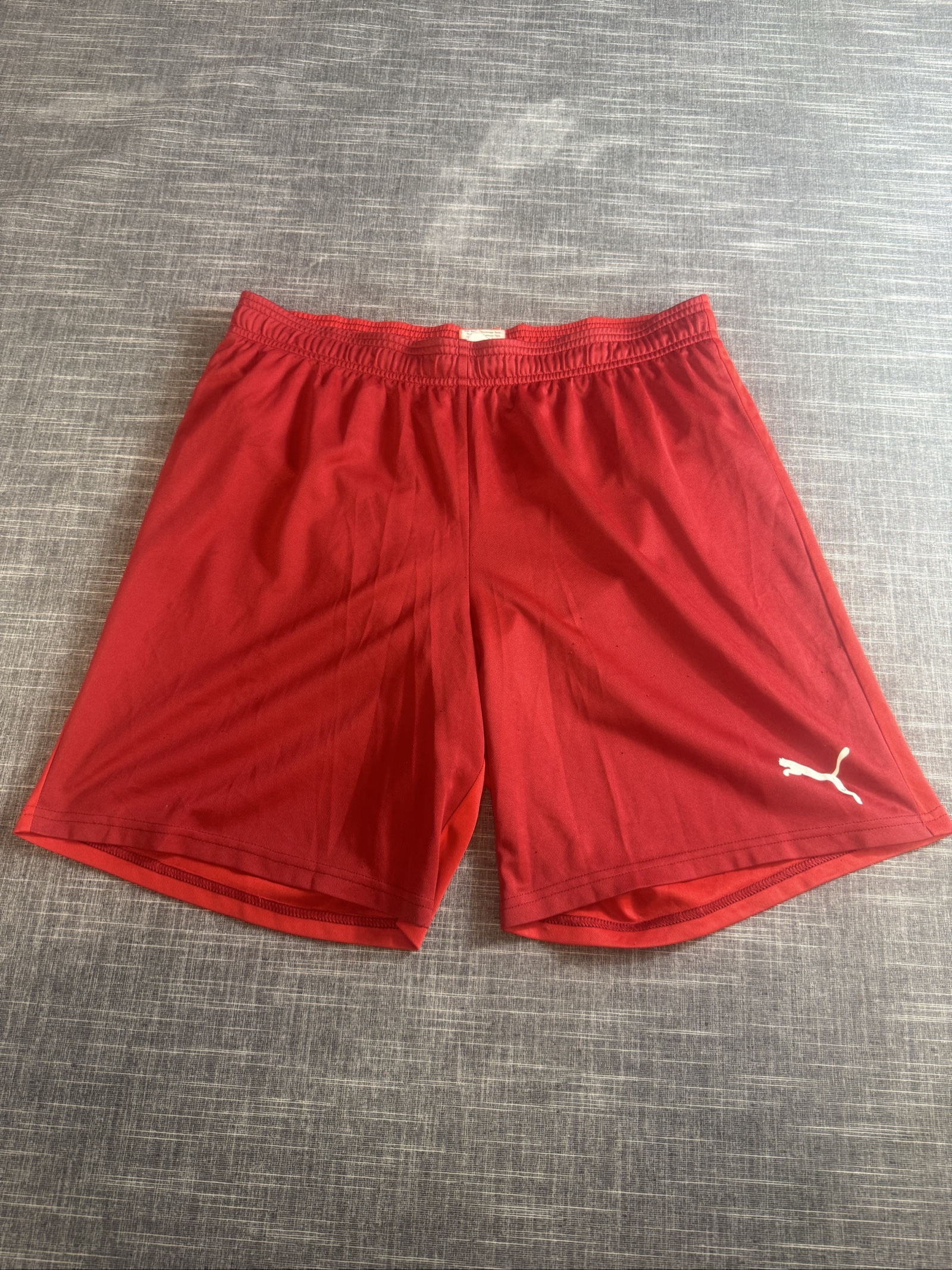 Puma Men's Red Dry Cell Sports Training Shorts Large