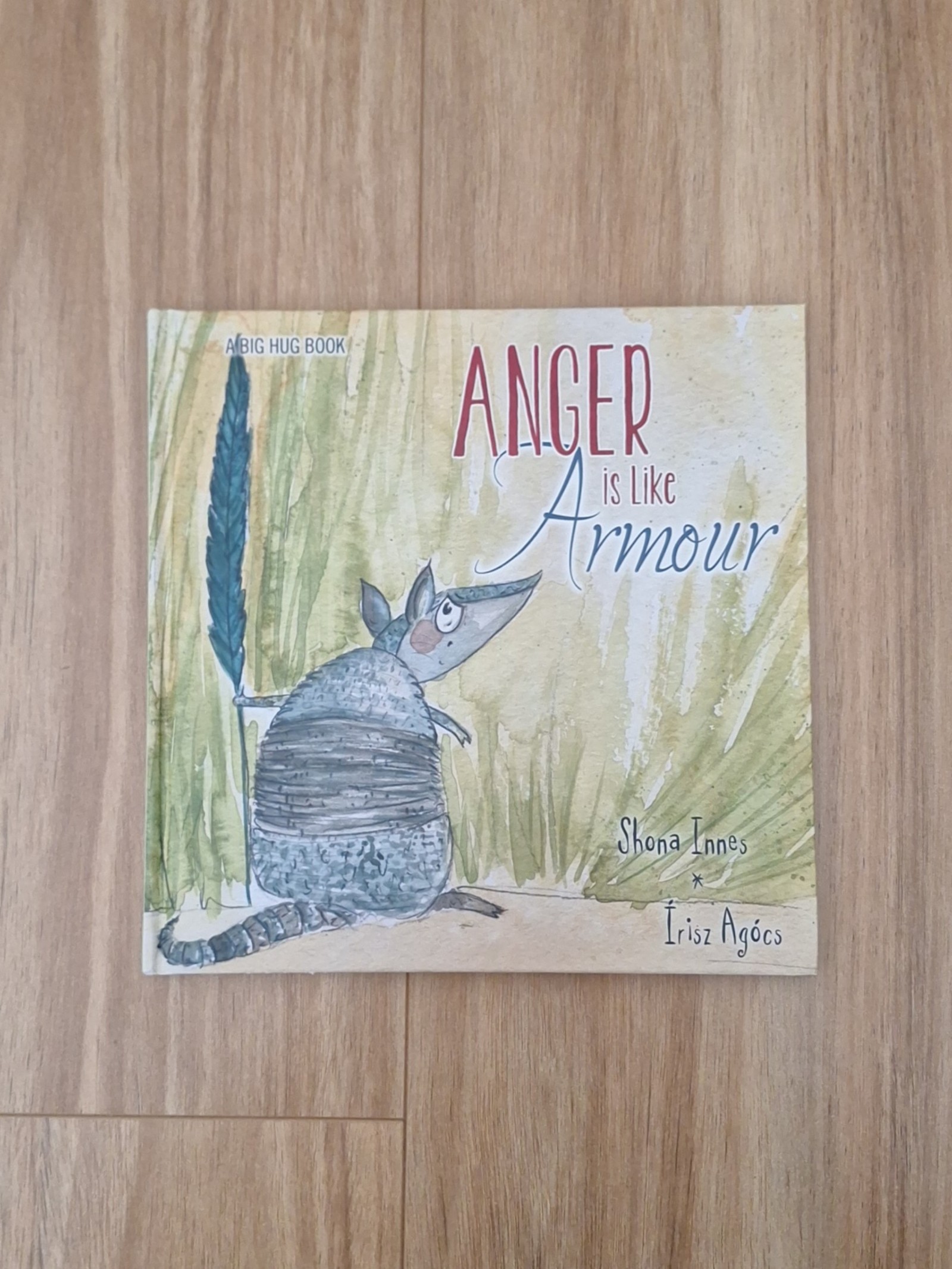 Anger is Like Armour Kids Children's Book by Shona Innes