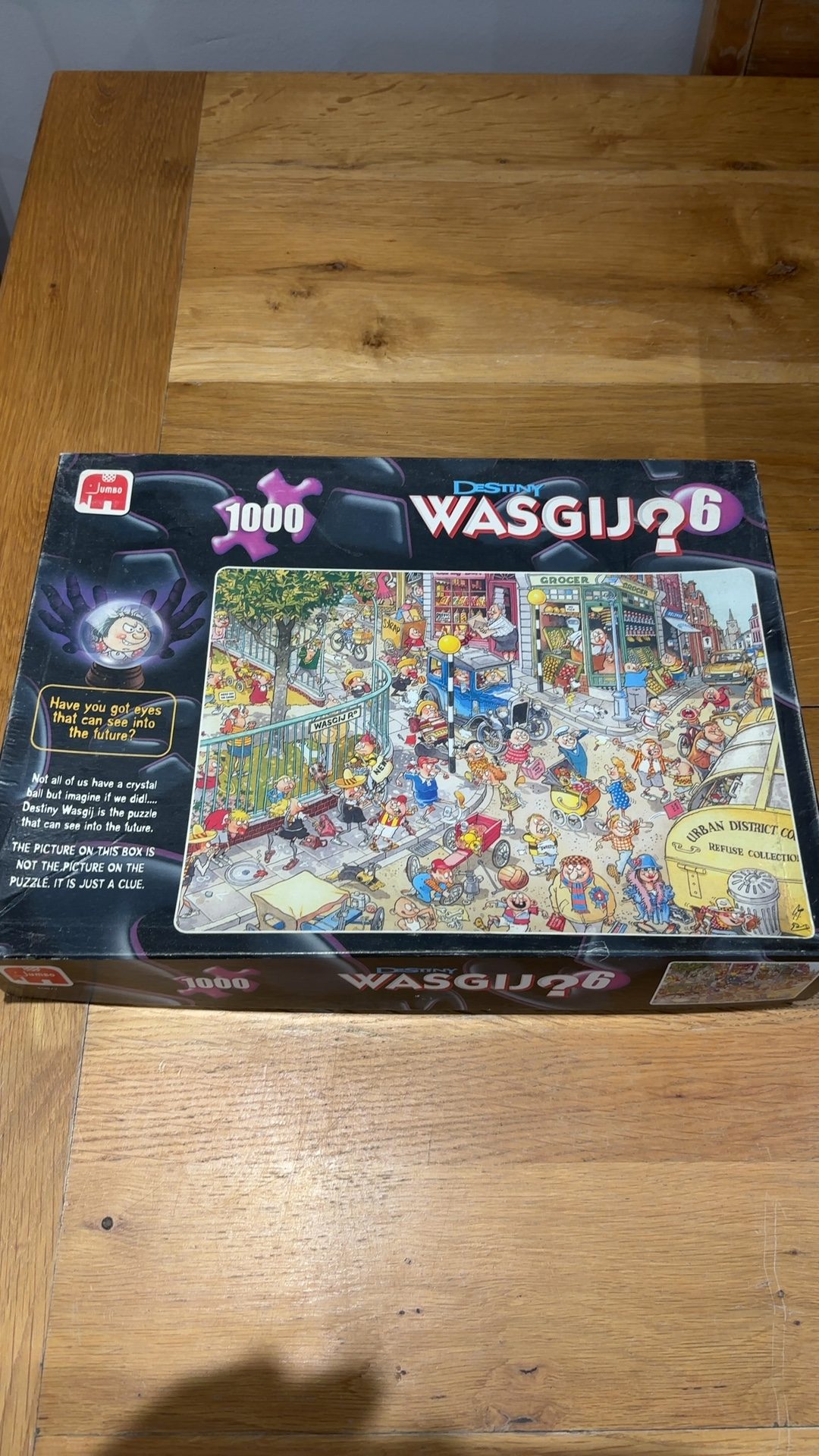 Jumbo Destiny Wasgij 6 Child's Play 1000 Piece Puzzle