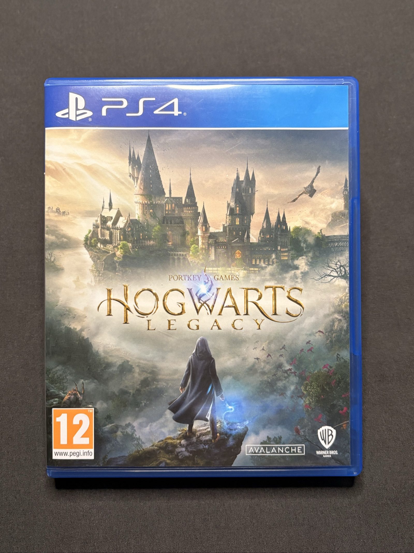 Hogwarts Legacy PS4 Action RPG Game PEGI 12