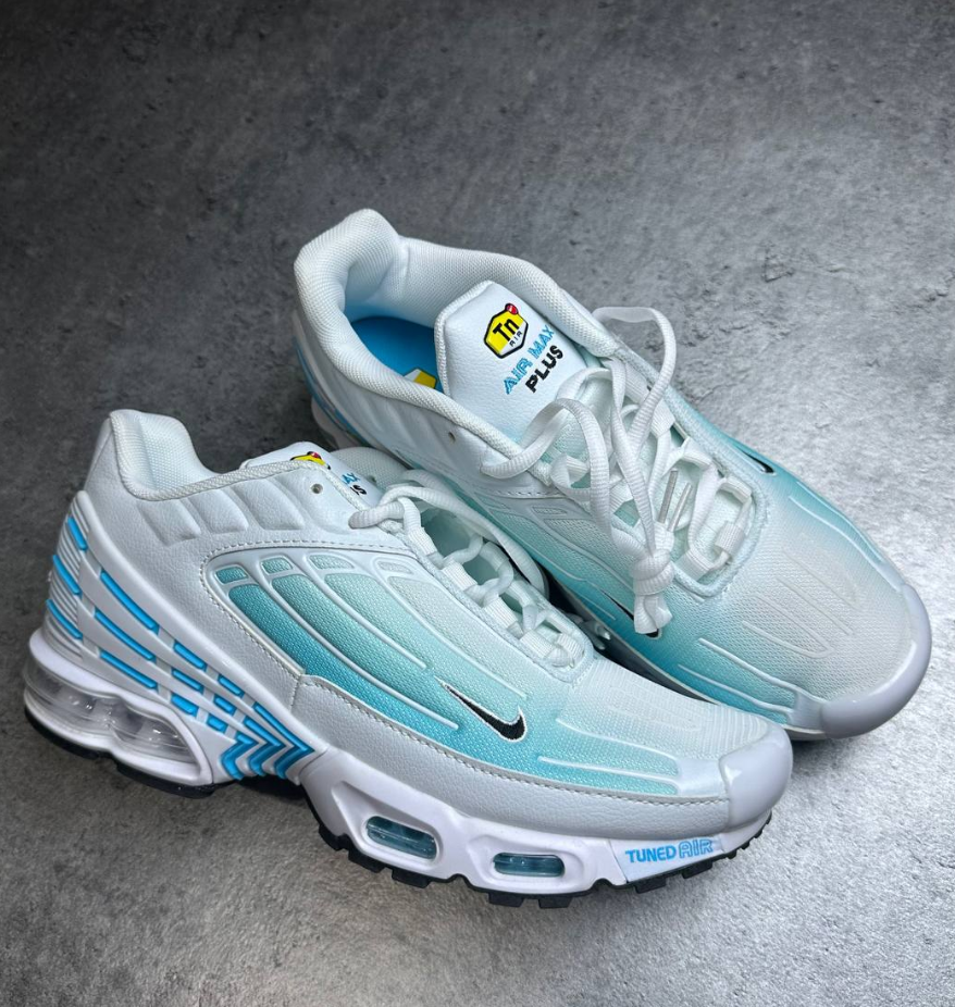 Nike White & Blue Air Max Plus Sneakers US 9