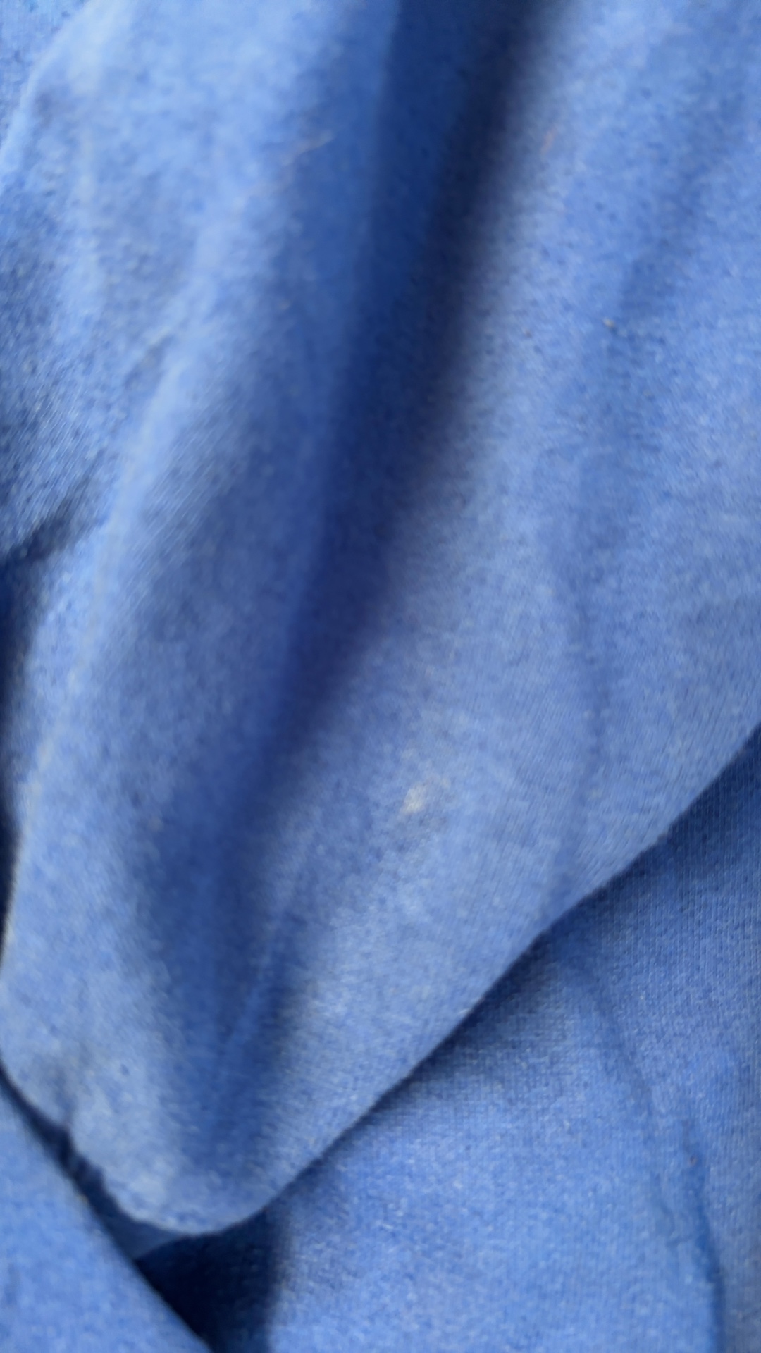 Florida Stadium Athletics Blue & Orange Hoodie Large image 9